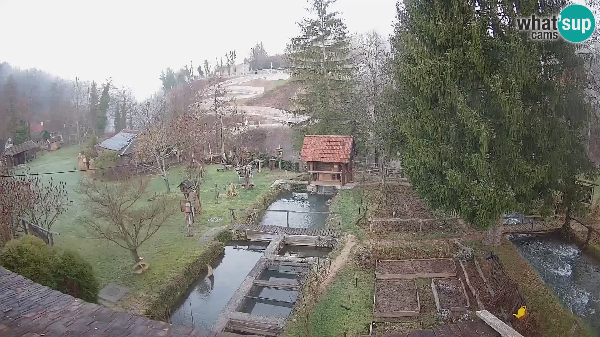 Live webcam Rastoke – river Slunjčica – Croatia