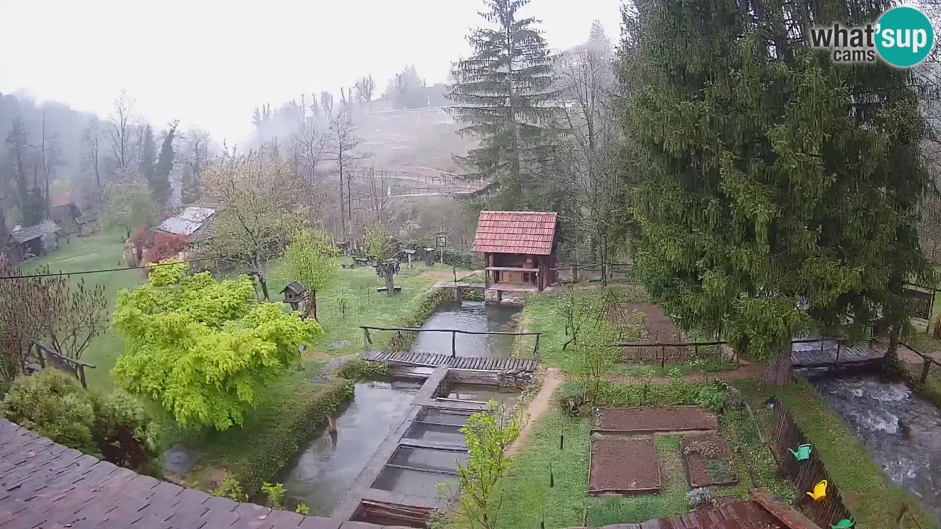 Cámara web en vivo Rastoke – río Slunjčica – Croacia