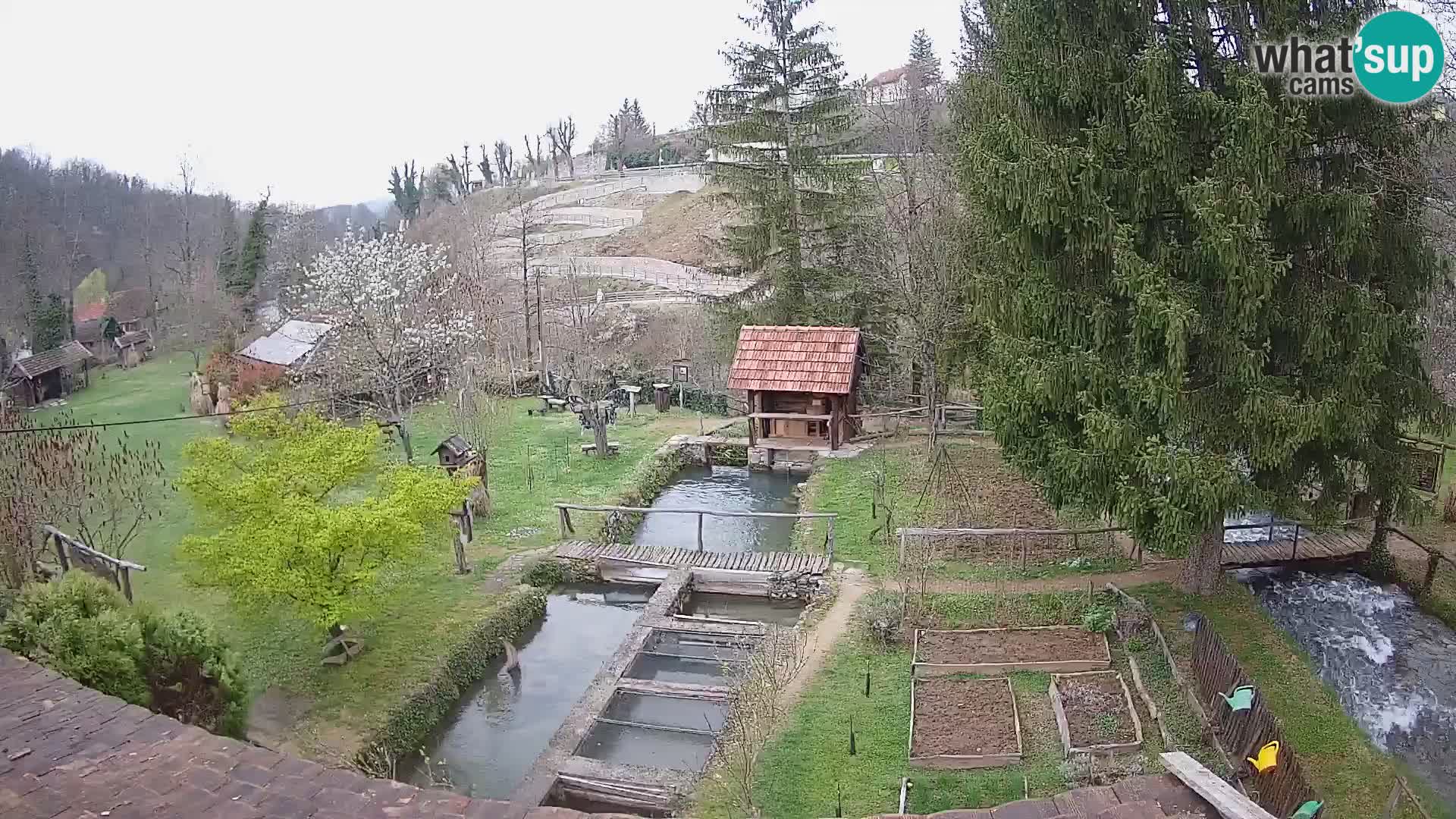 Live webcam Rastoke – river Slunjčica – Croatia