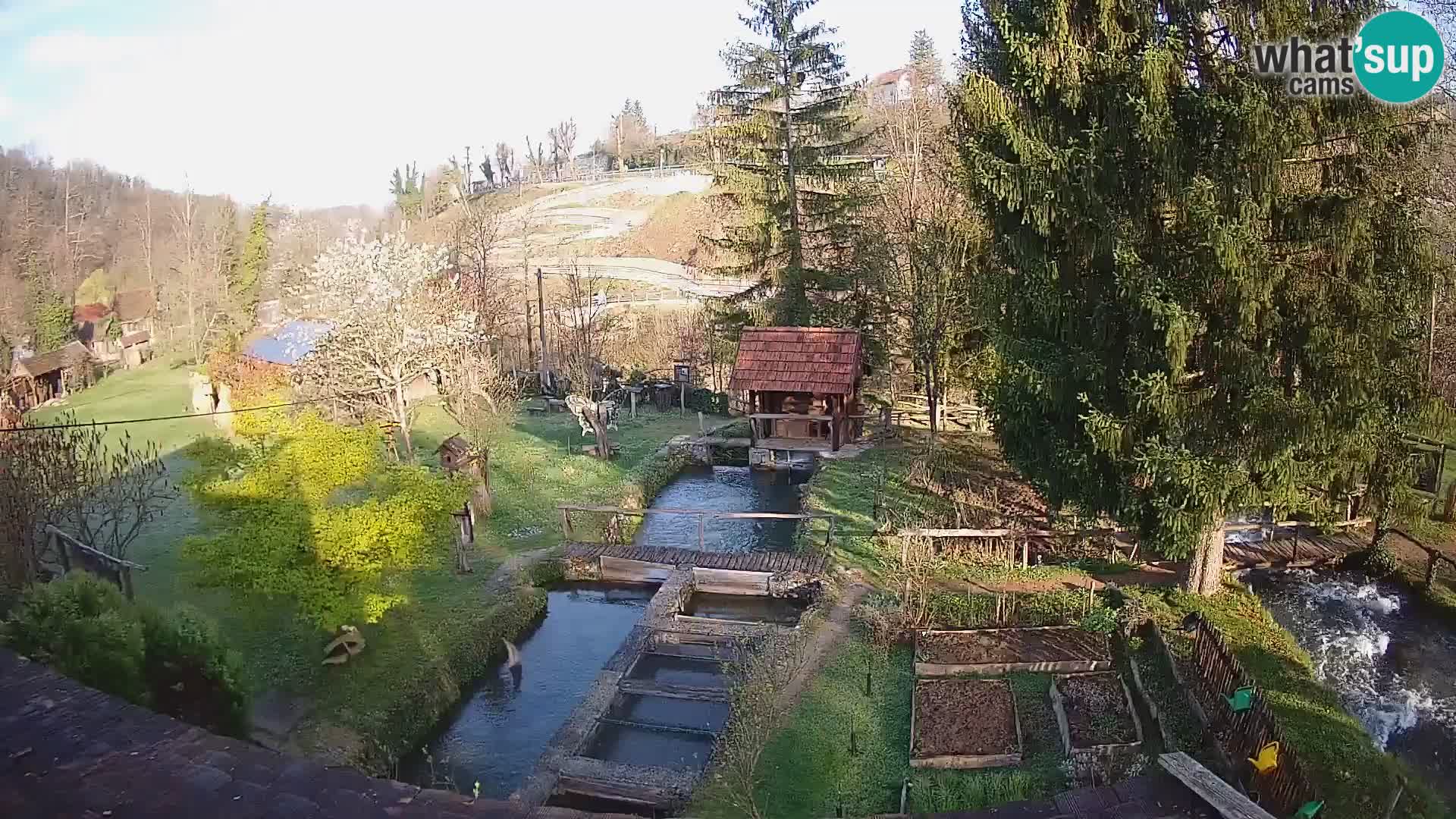 Web kamera uživo Rastoke – rijeka Slunjčica – Hrvatska