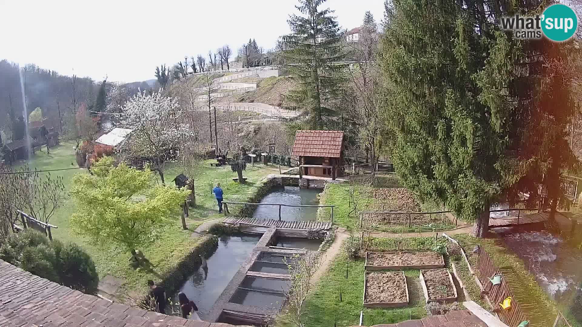 Spletna kamera v živo Rastoke – reka Slunjčica – Hrvaška