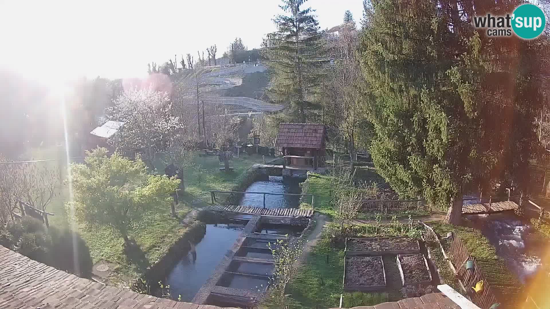 Cámara web en vivo Rastoke – río Slunjčica – Croacia