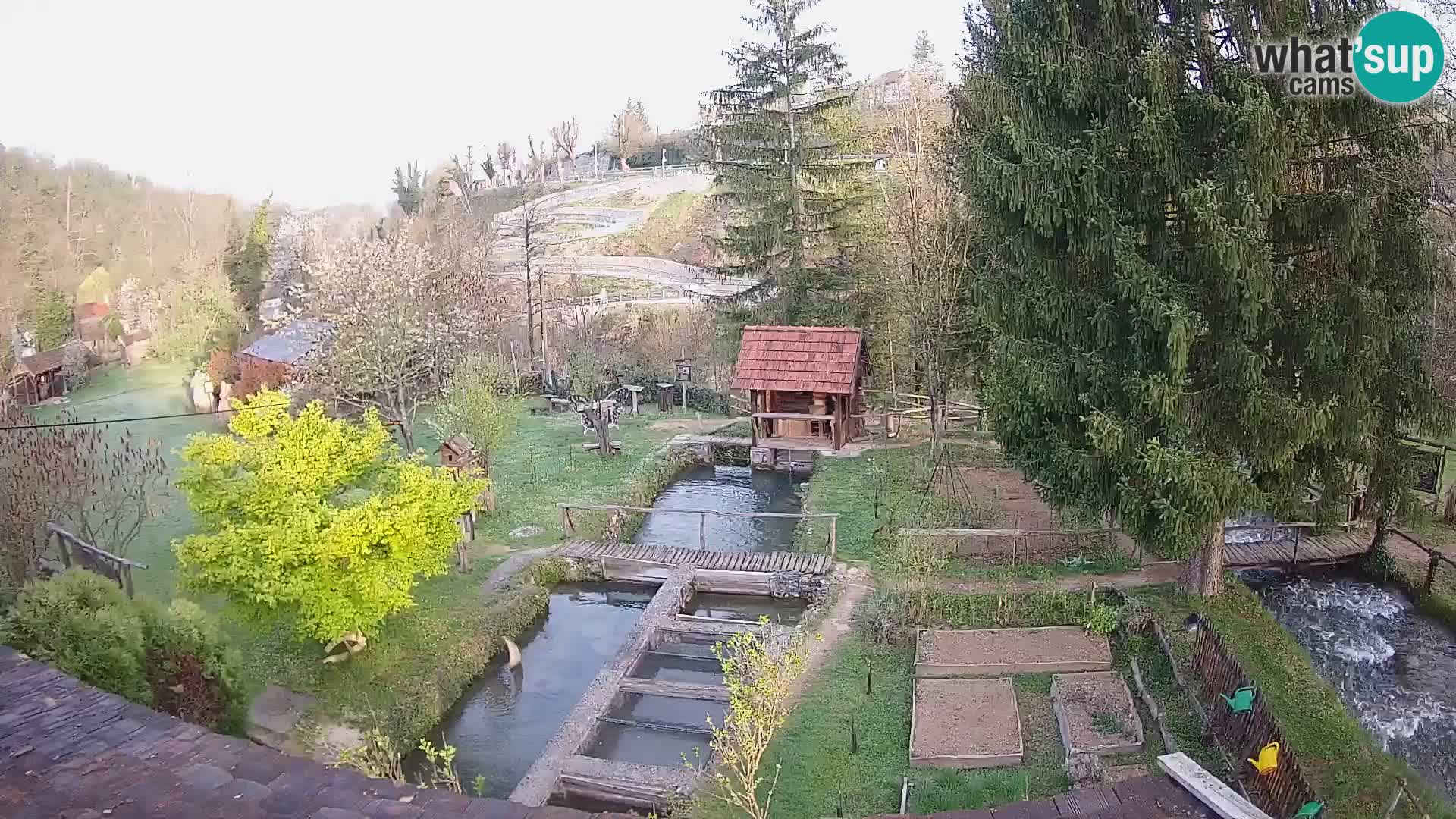 Spletna kamera v živo Rastoke – reka Slunjčica – Hrvaška