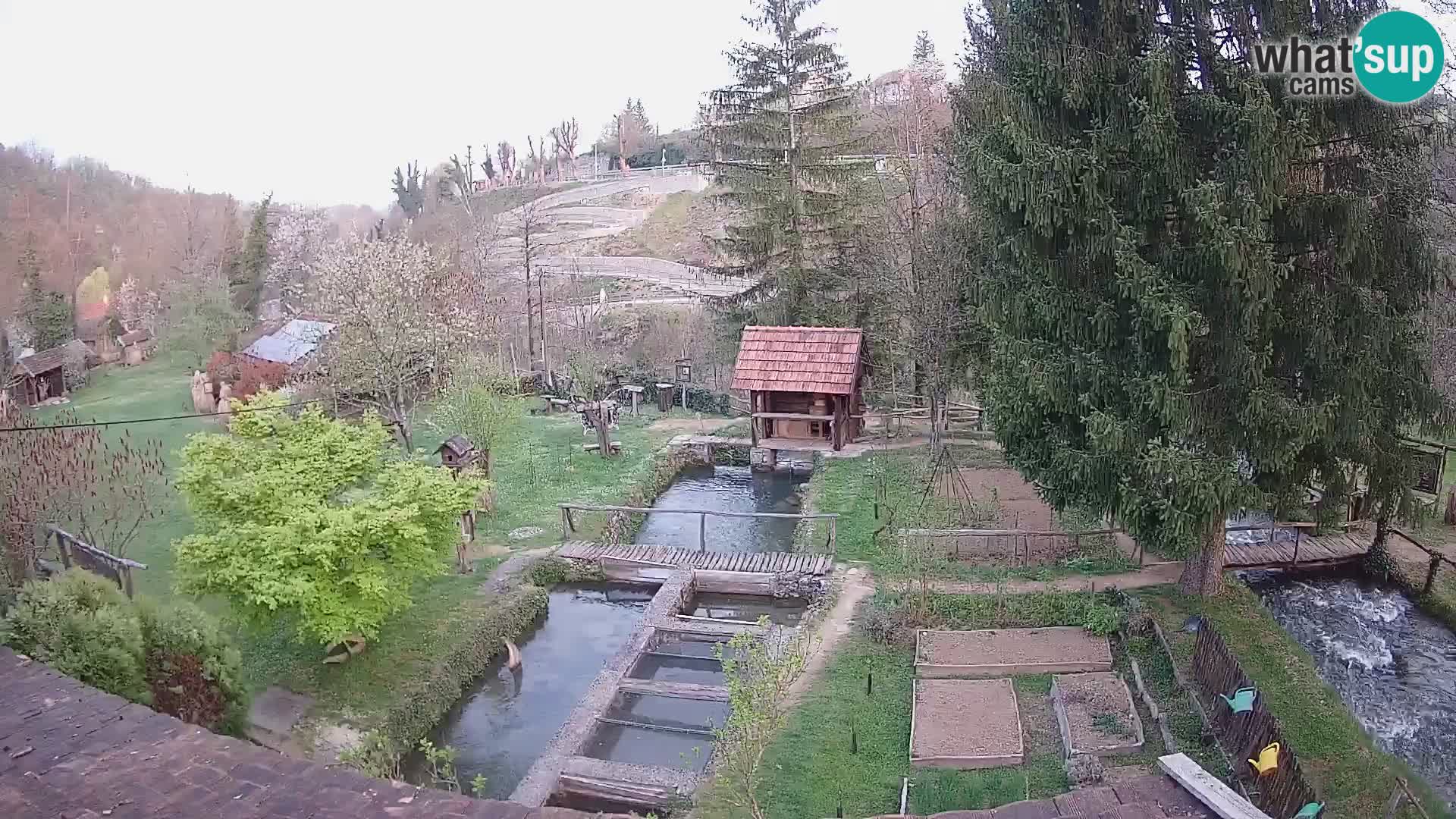 Cámara web en vivo Rastoke – río Slunjčica – Croacia