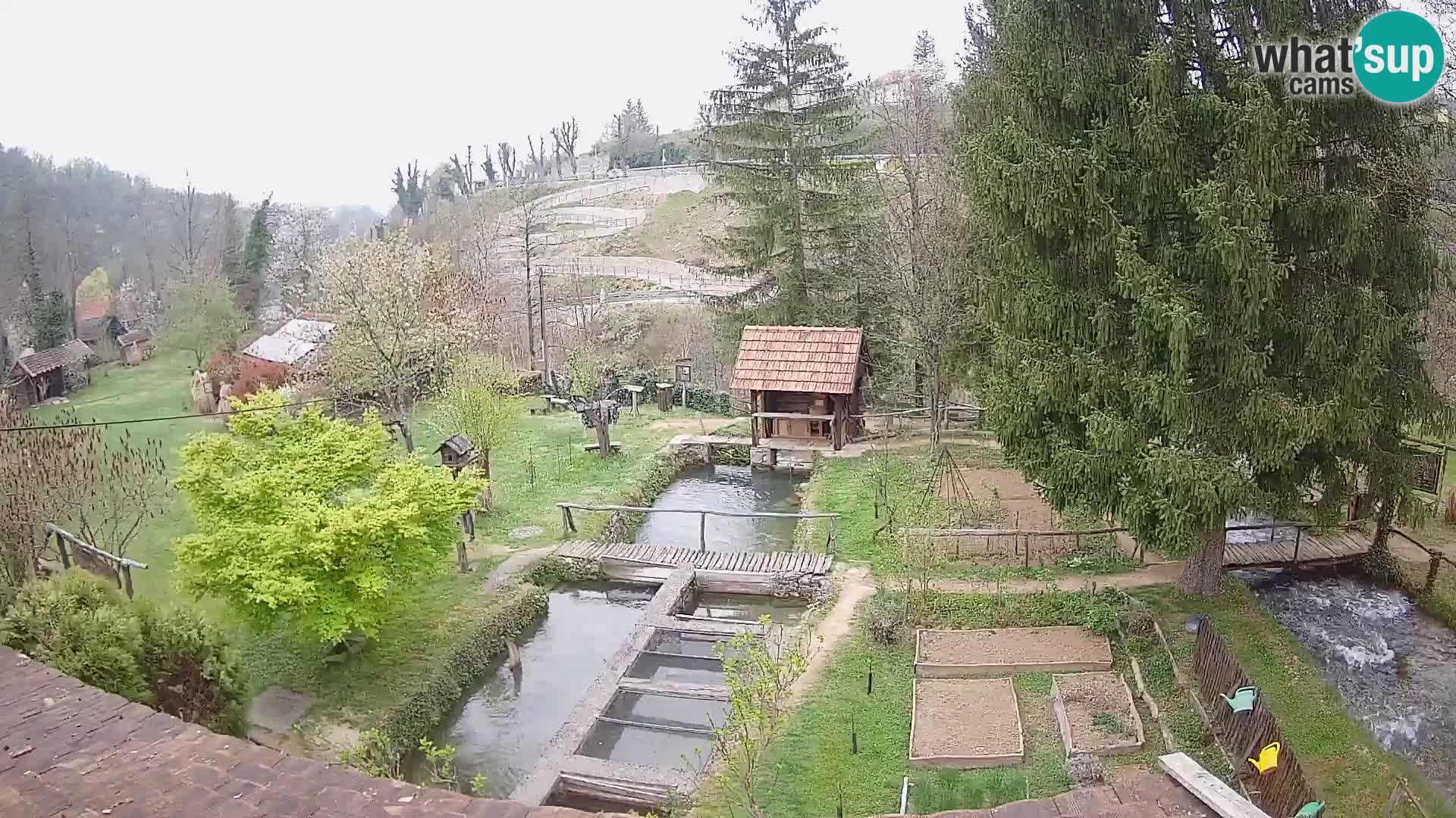 Live webcam Rastoke – river Slunjčica – Croatia