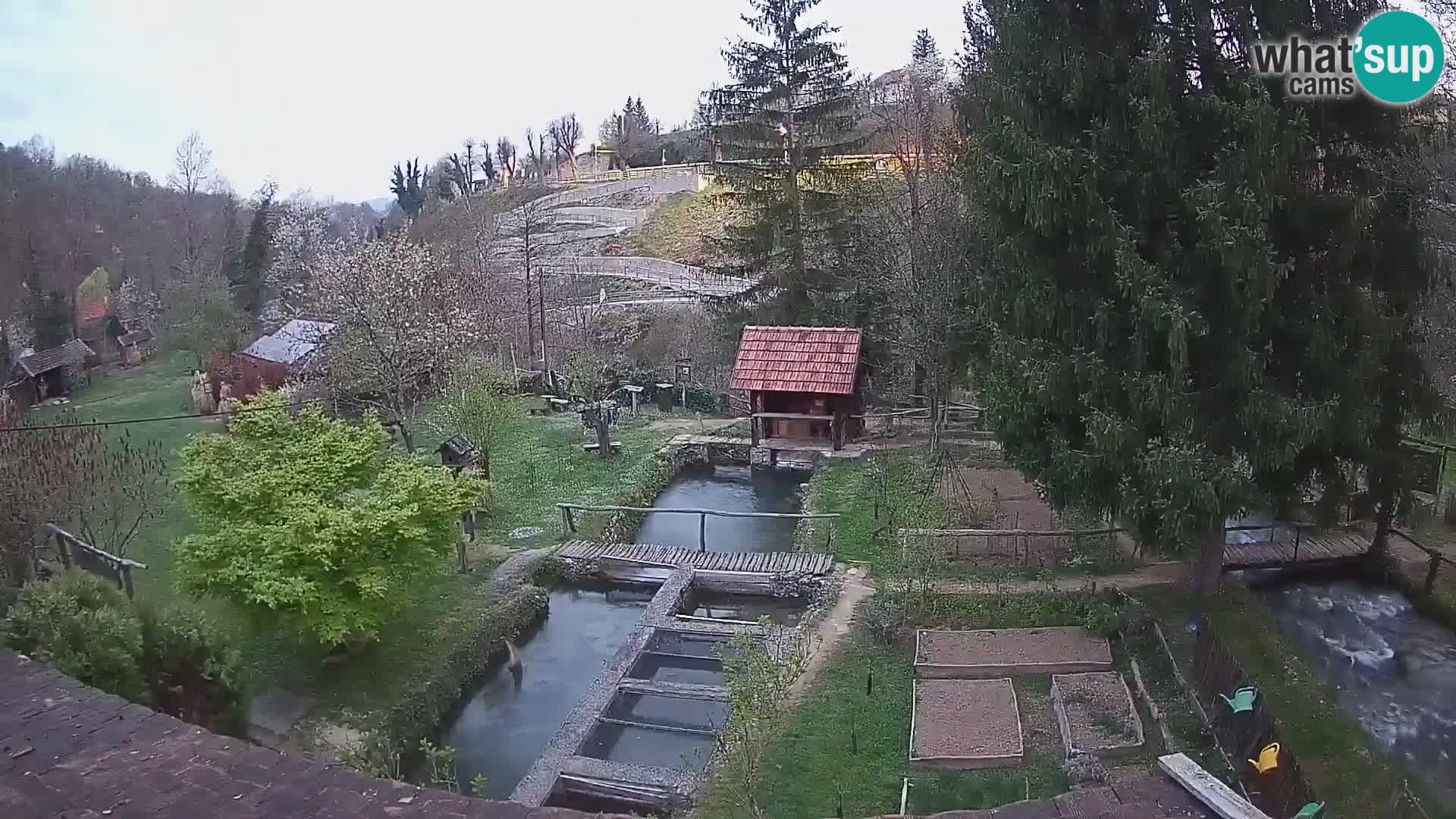 Web kamera uživo Rastoke – rijeka Slunjčica – Hrvatska