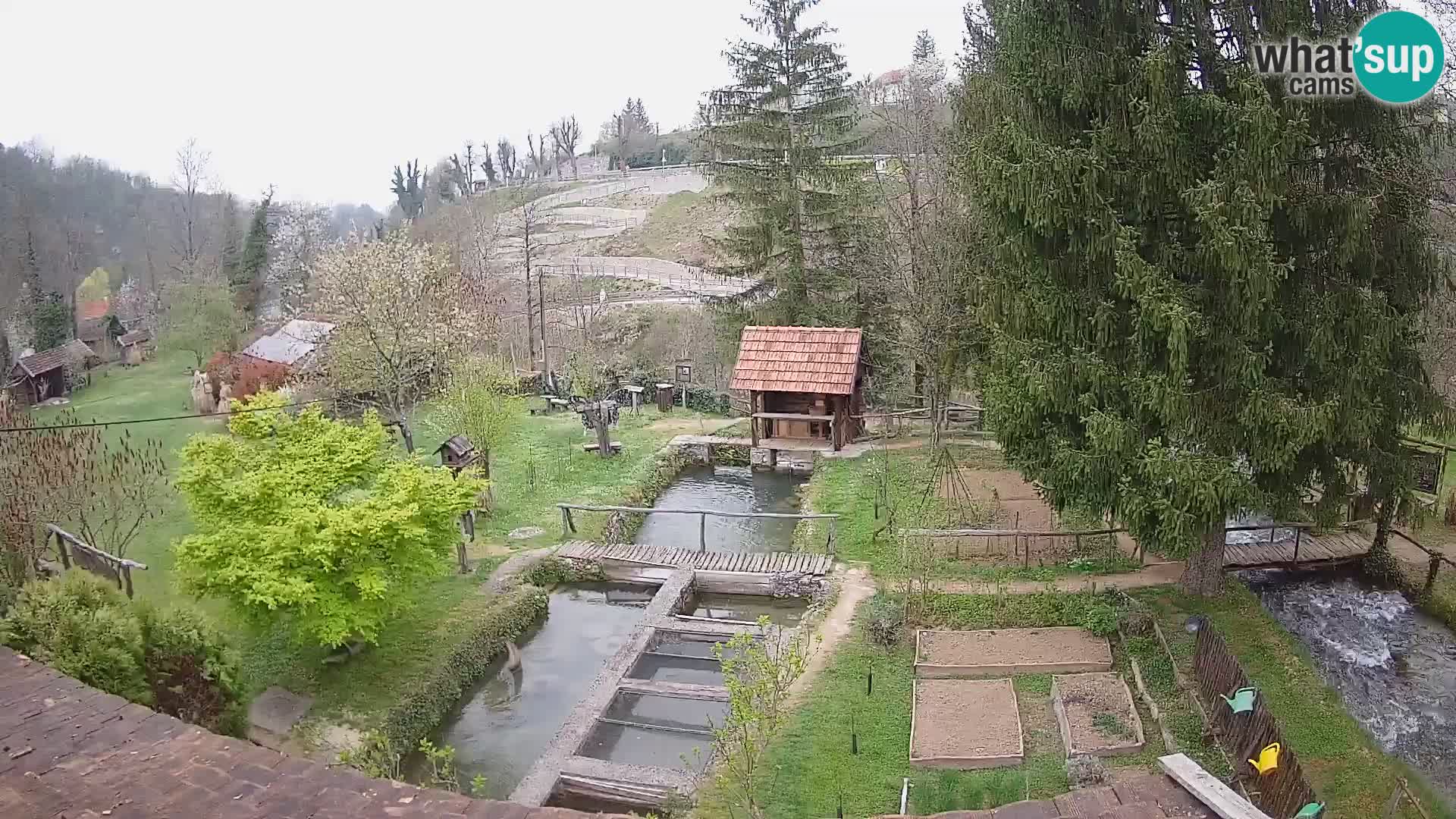 Spletna kamera v živo Rastoke – reka Slunjčica – Hrvaška