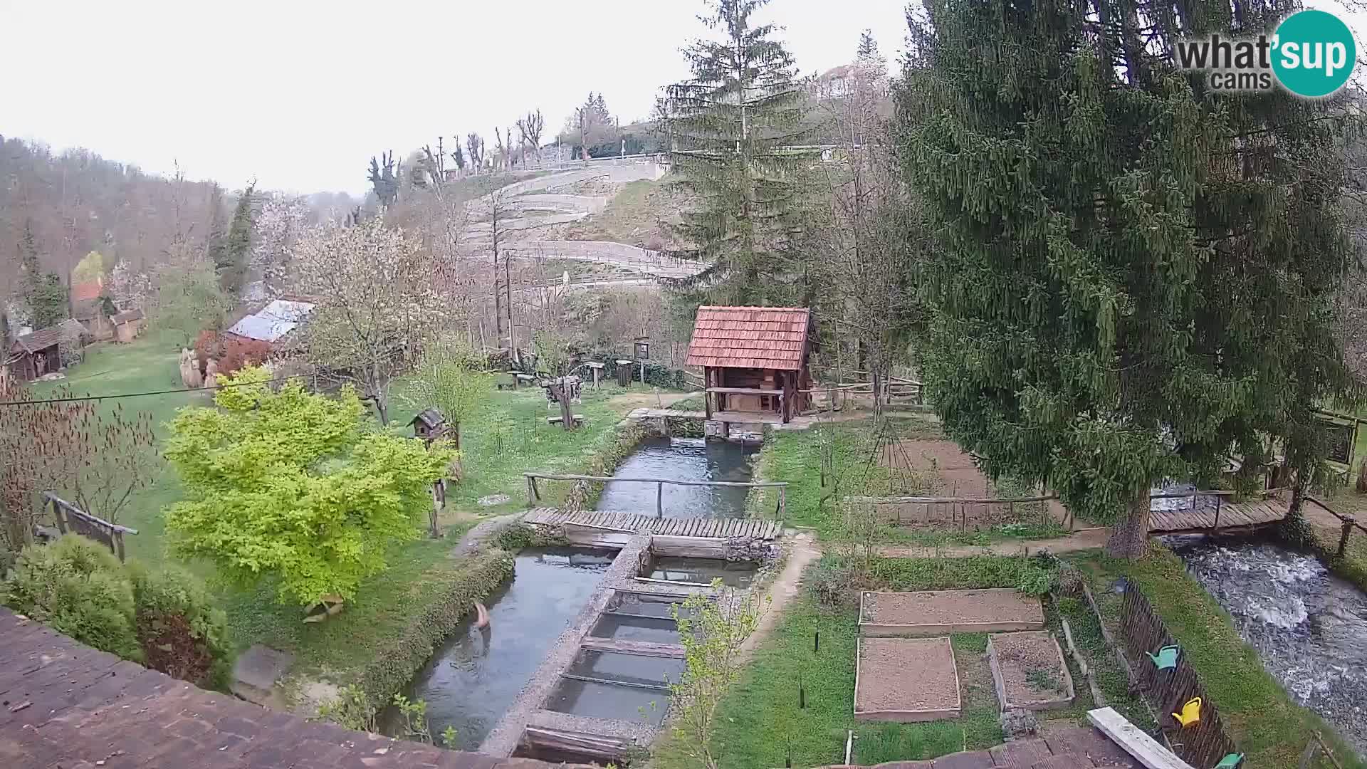 Cámara web en vivo Rastoke – río Slunjčica – Croacia