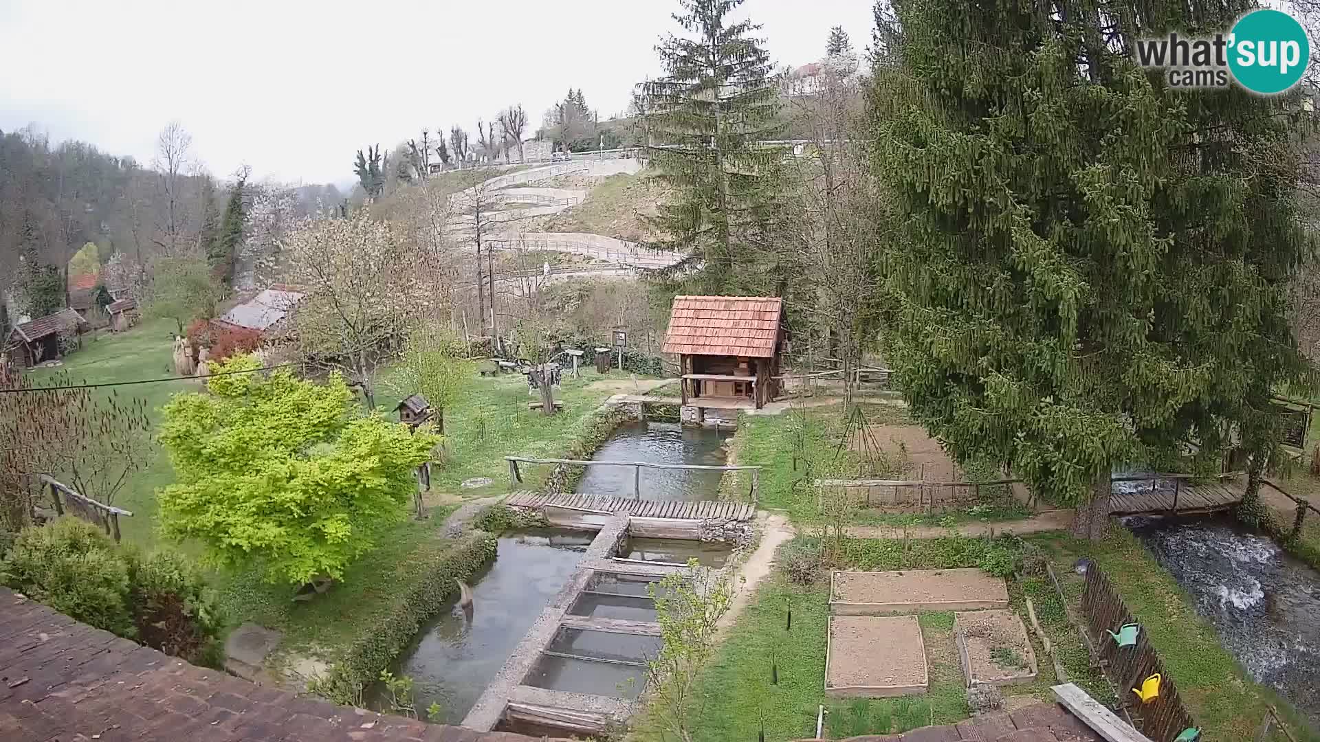 Live-Webcam Rastoke – Fluss Slunjčica – Kroatien