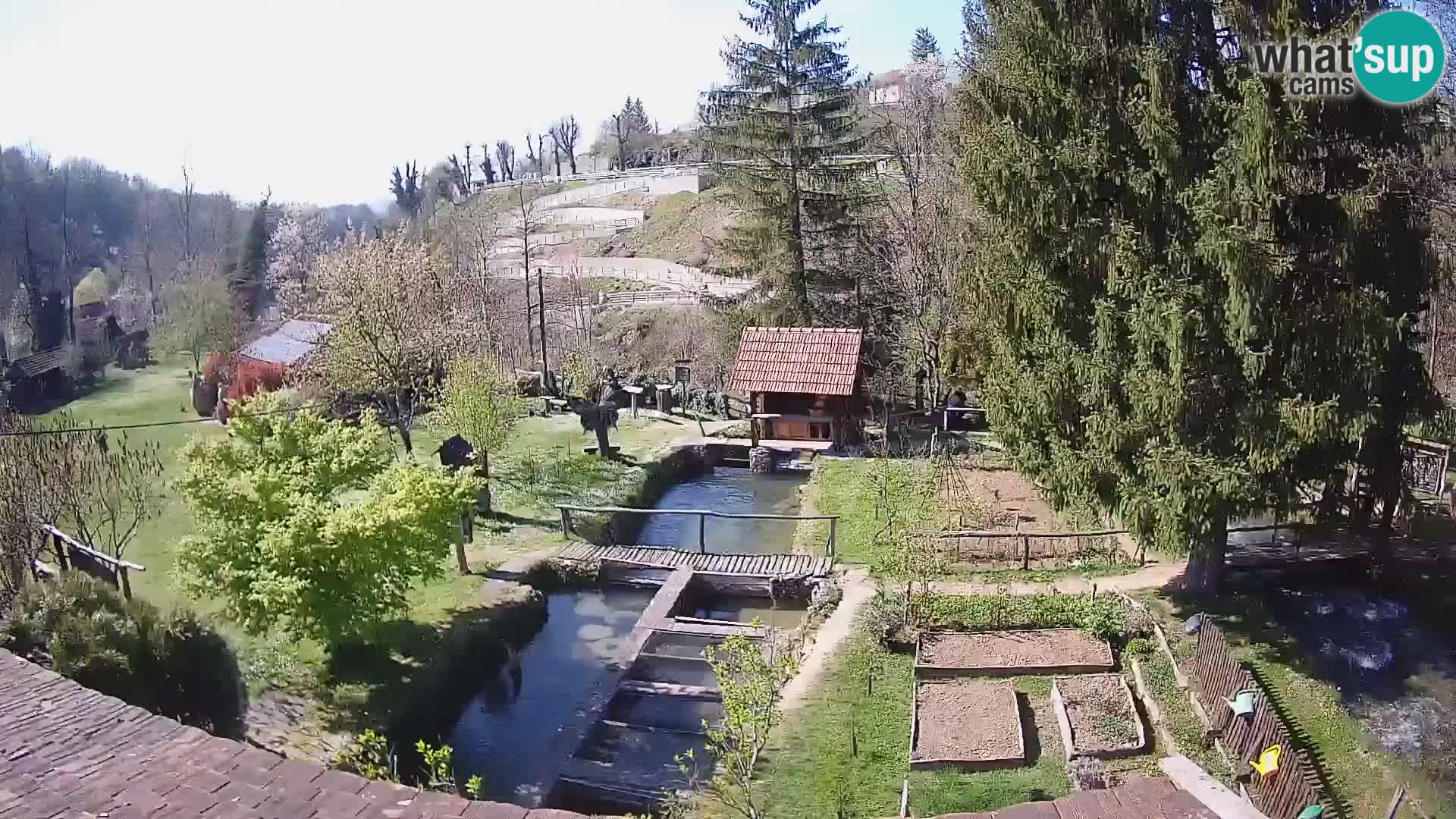 Spletna kamera v živo Rastoke – reka Slunjčica – Hrvaška