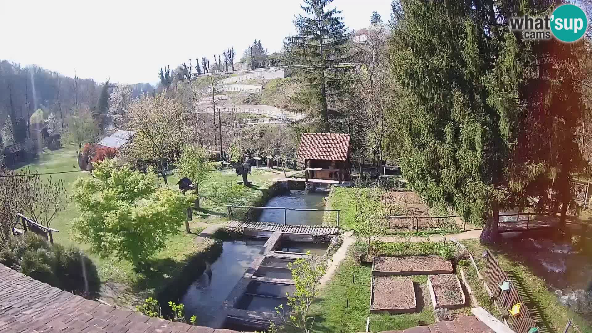 Cámara web en vivo Rastoke – río Slunjčica – Croacia