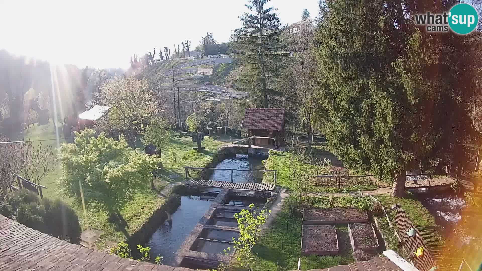 Live webcam Rastoke – fiume Slunjčica – Croazia