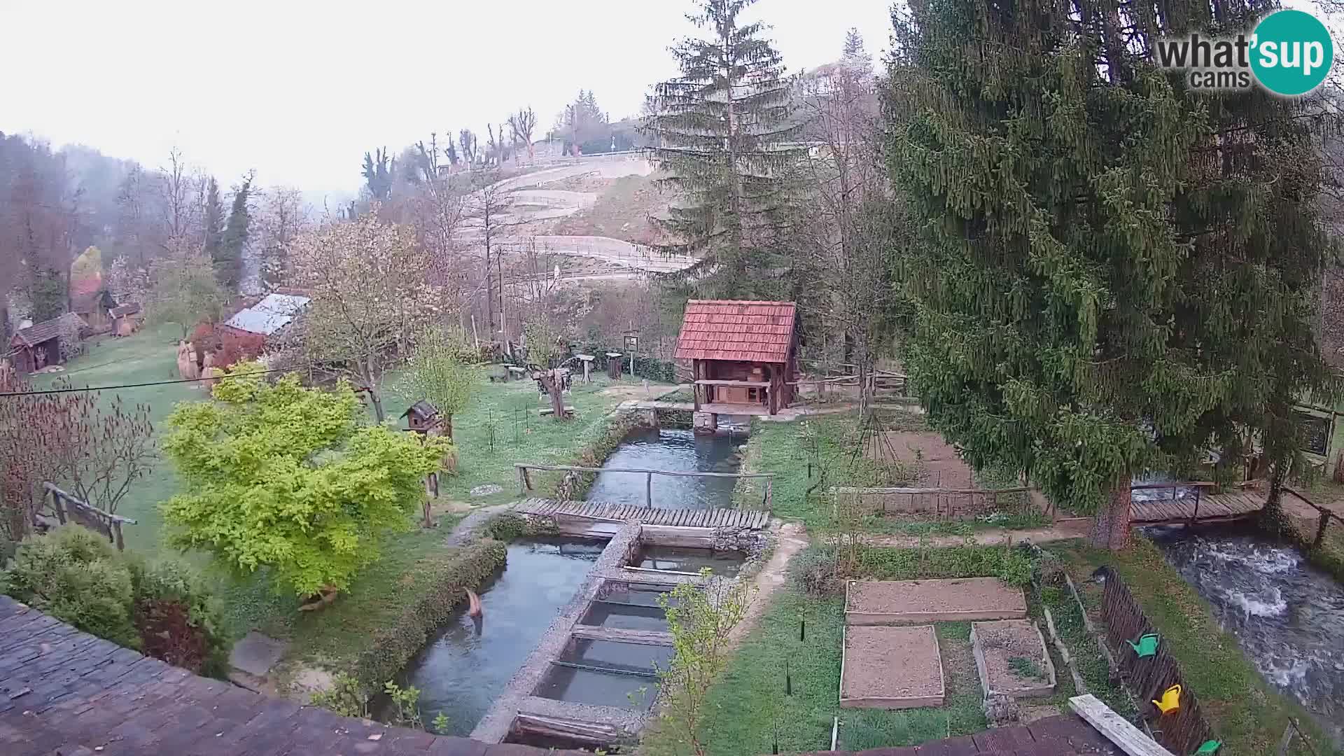Spletna kamera v živo Rastoke – reka Slunjčica – Hrvaška