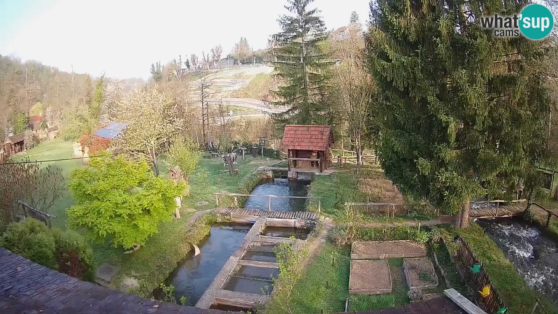 Spletna kamera v živo Rastoke – reka Slunjčica – Hrvaška