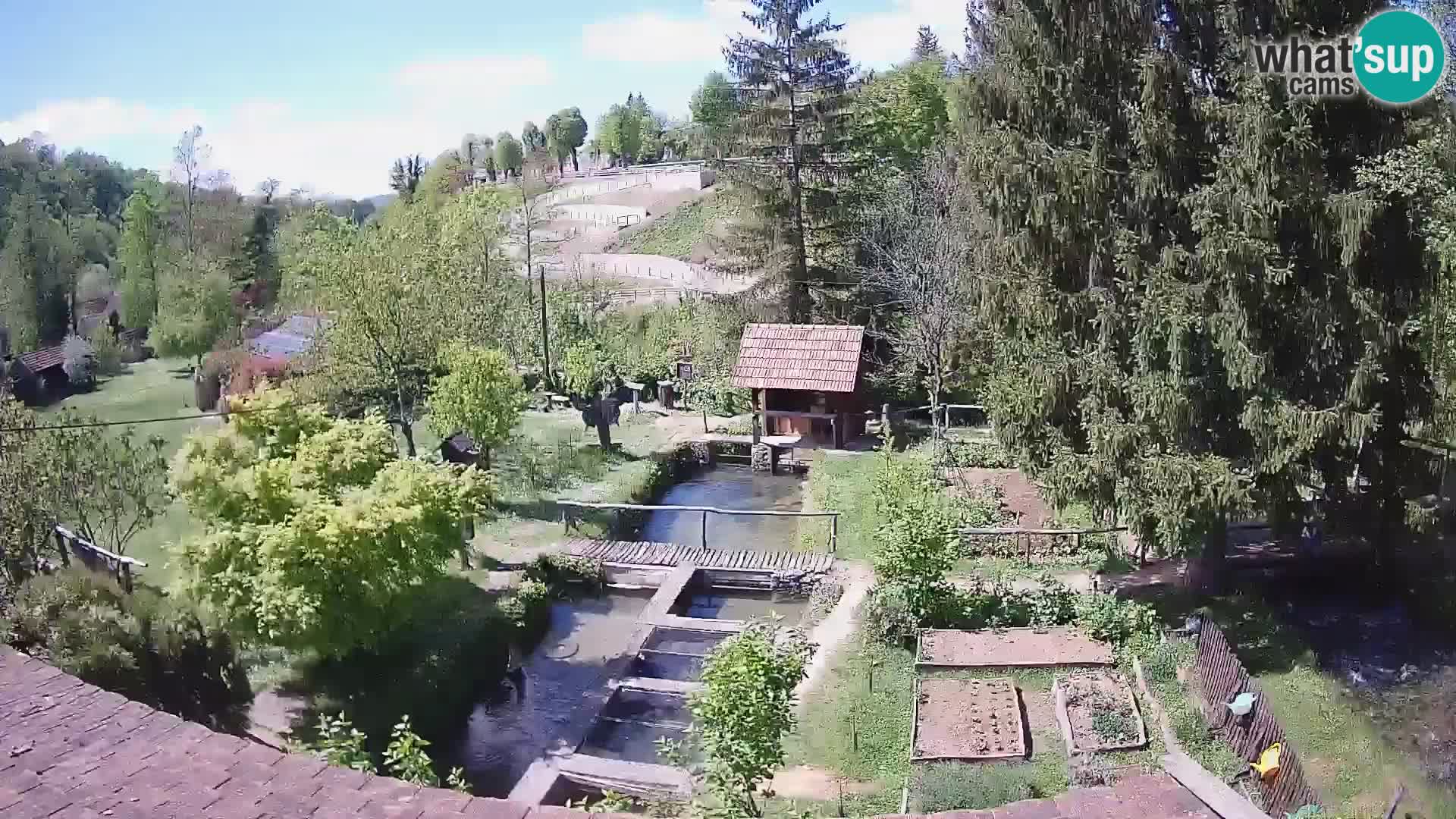 Cámara web en vivo Rastoke – río Slunjčica – Croacia