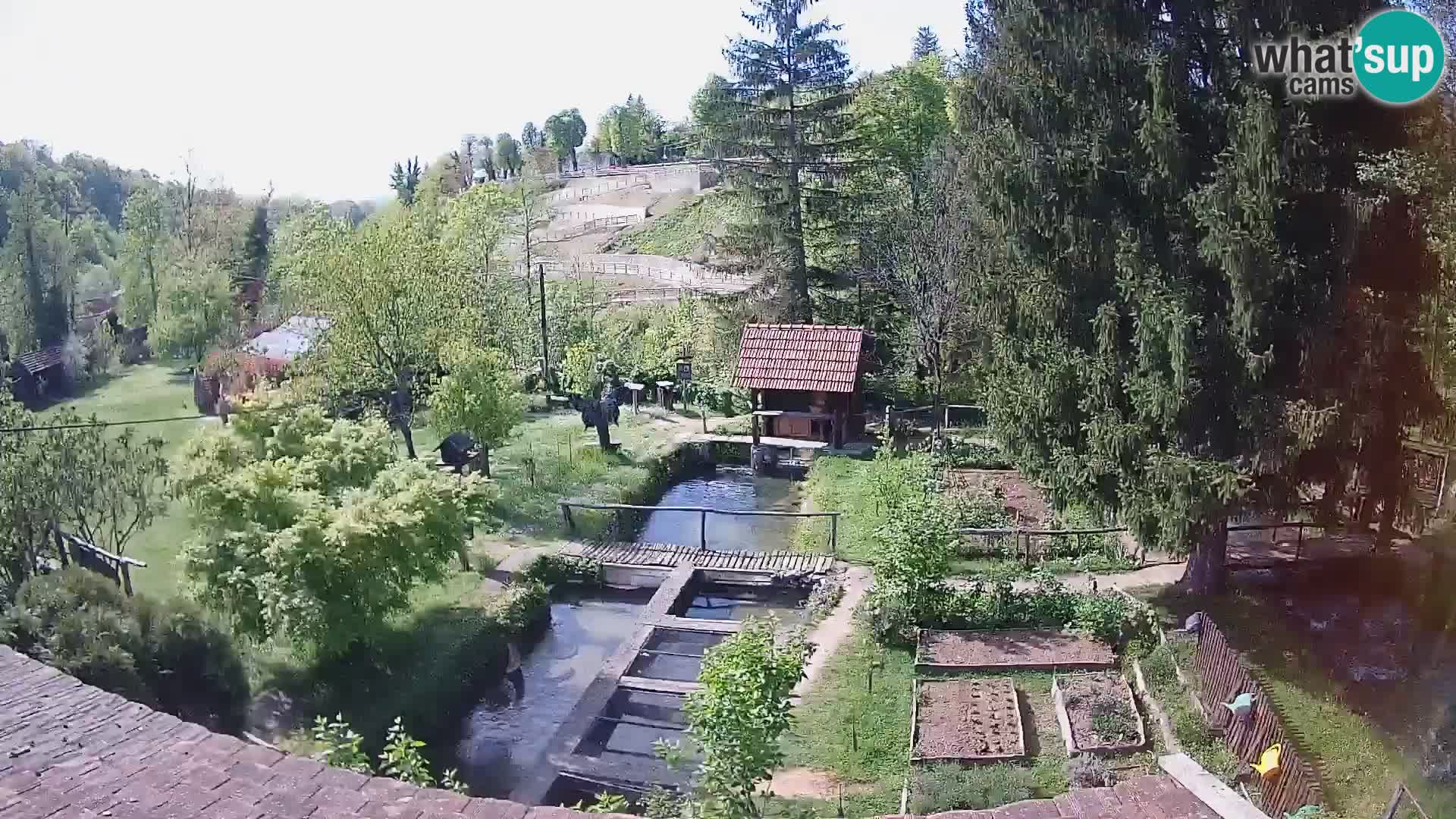 Live webcam Rastoke – river Slunjčica – Croatia