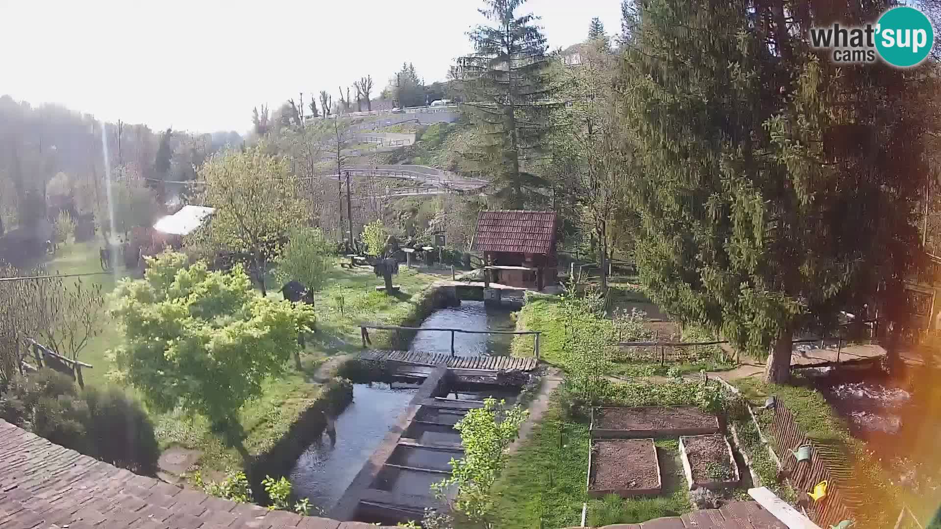 Cámara web en vivo Rastoke – río Slunjčica – Croacia