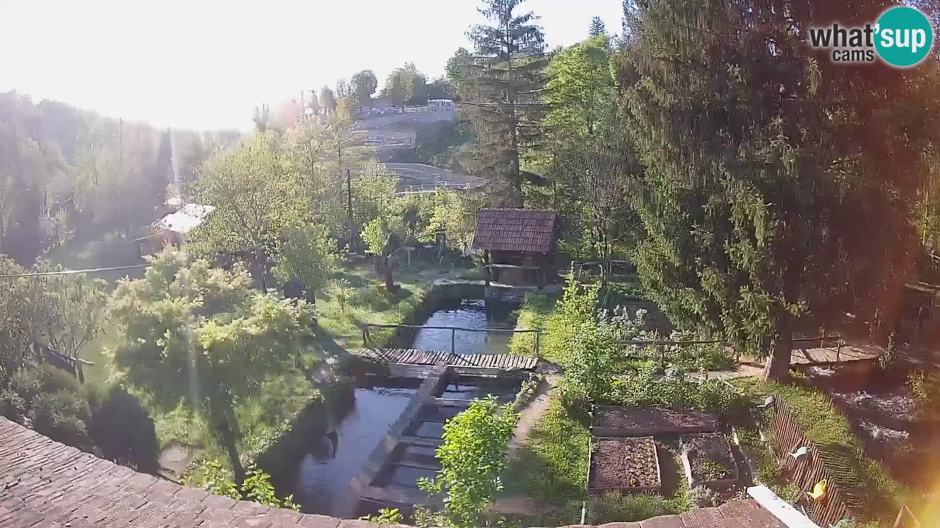 Live webcam Rastoke – river Slunjčica – Croatia