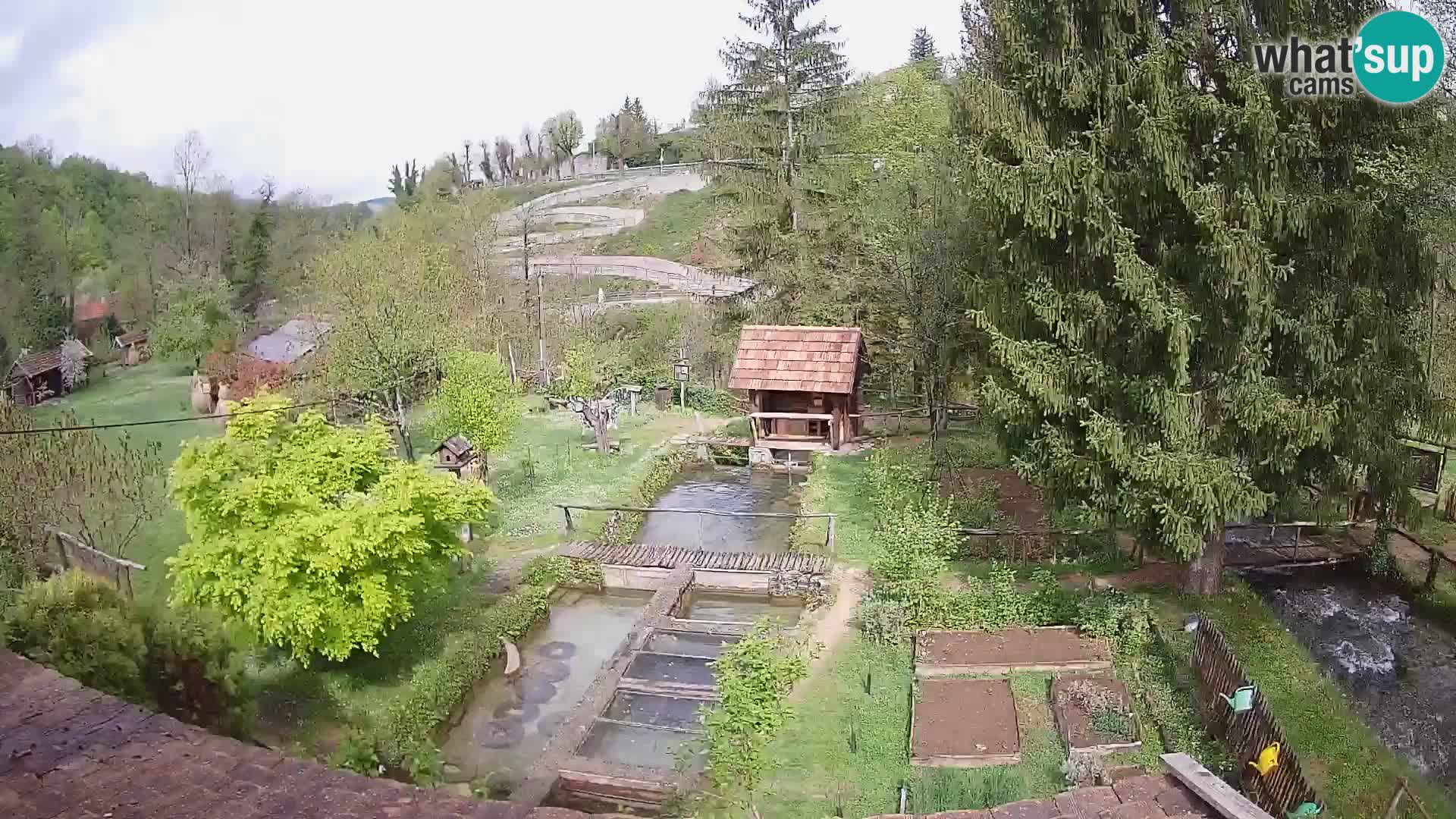 Cámara web en vivo Rastoke – río Slunjčica – Croacia