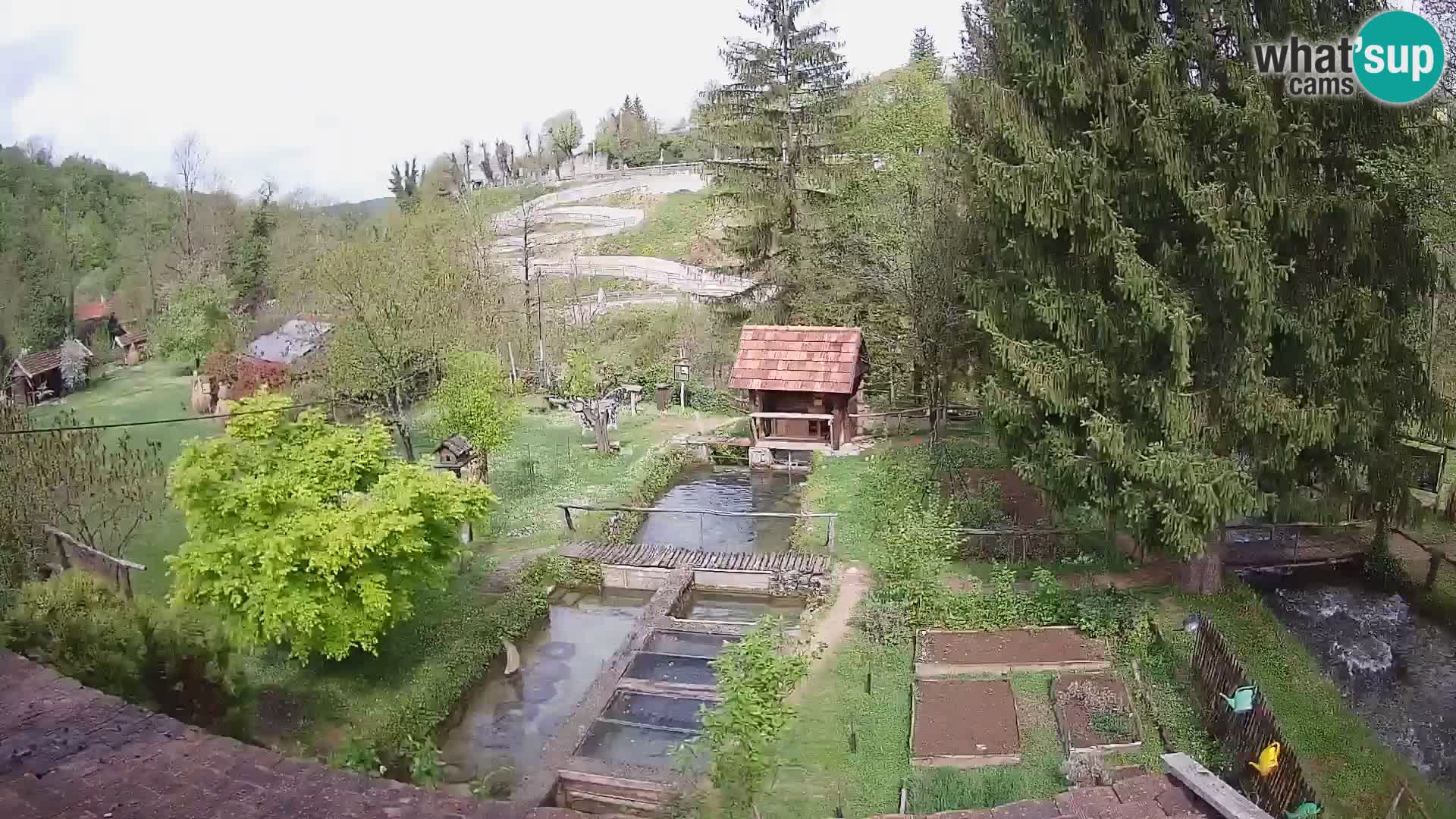 Cámara web en vivo Rastoke – río Slunjčica – Croacia