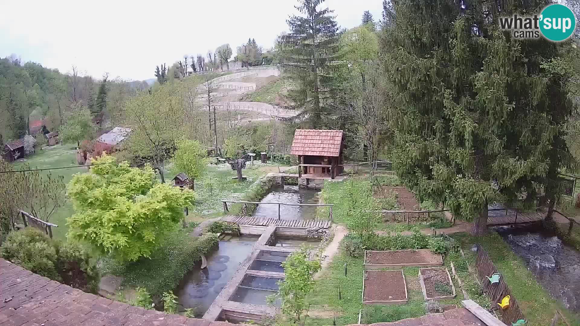 Live-Webcam Rastoke – Fluss Slunjčica – Kroatien