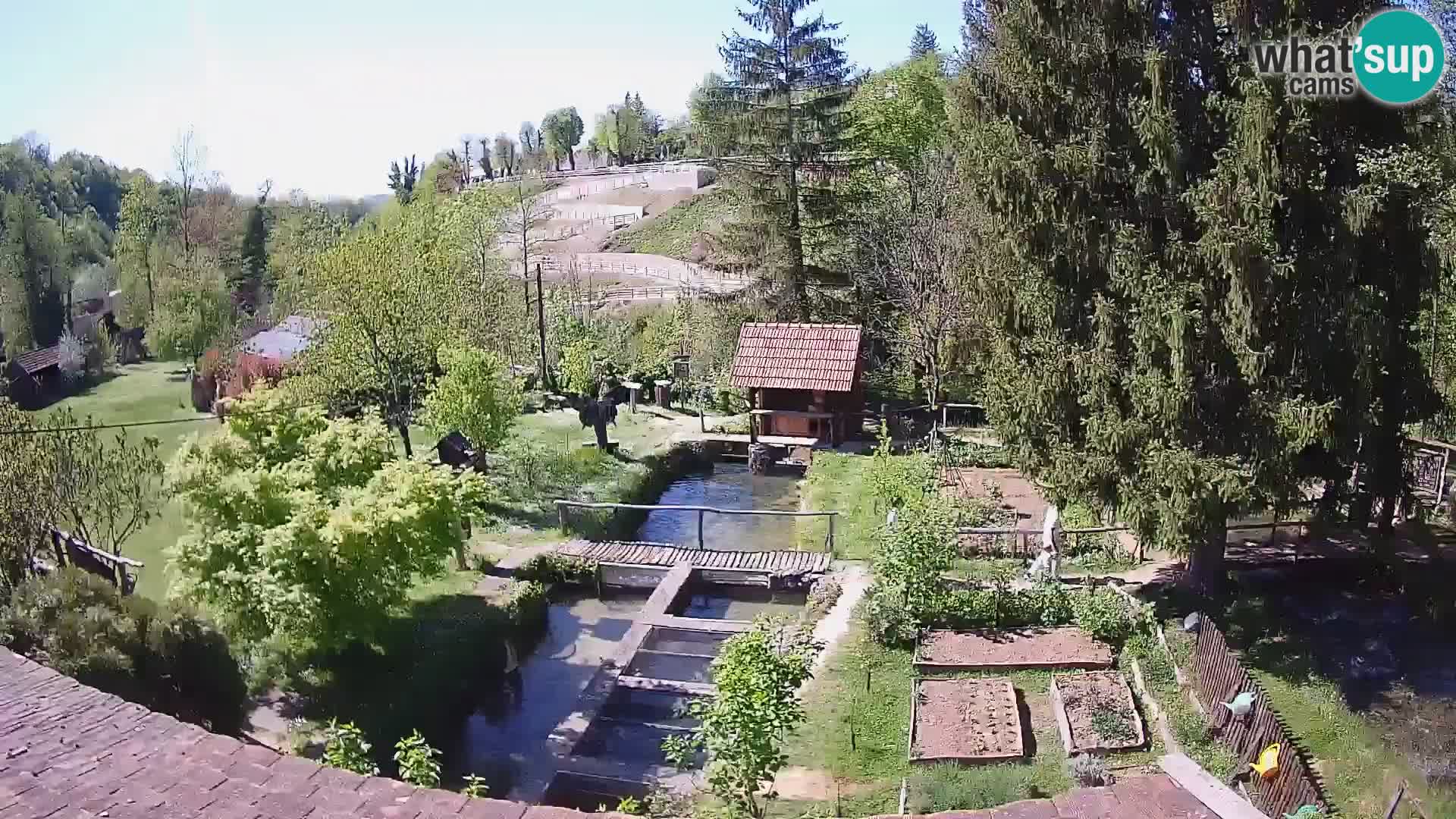Spletna kamera v živo Rastoke – reka Slunjčica – Hrvaška