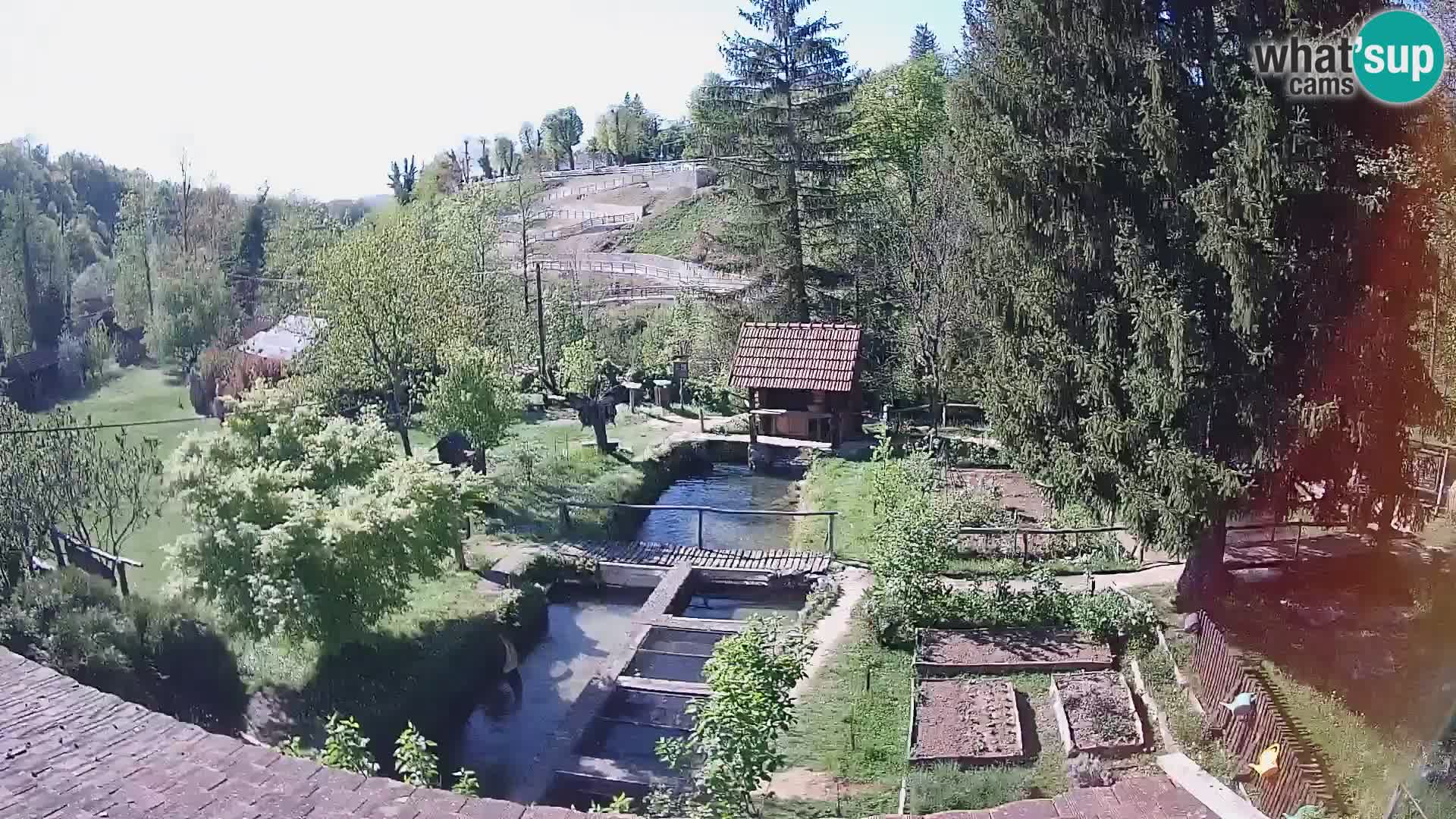 Spletna kamera v živo Rastoke – reka Slunjčica – Hrvaška