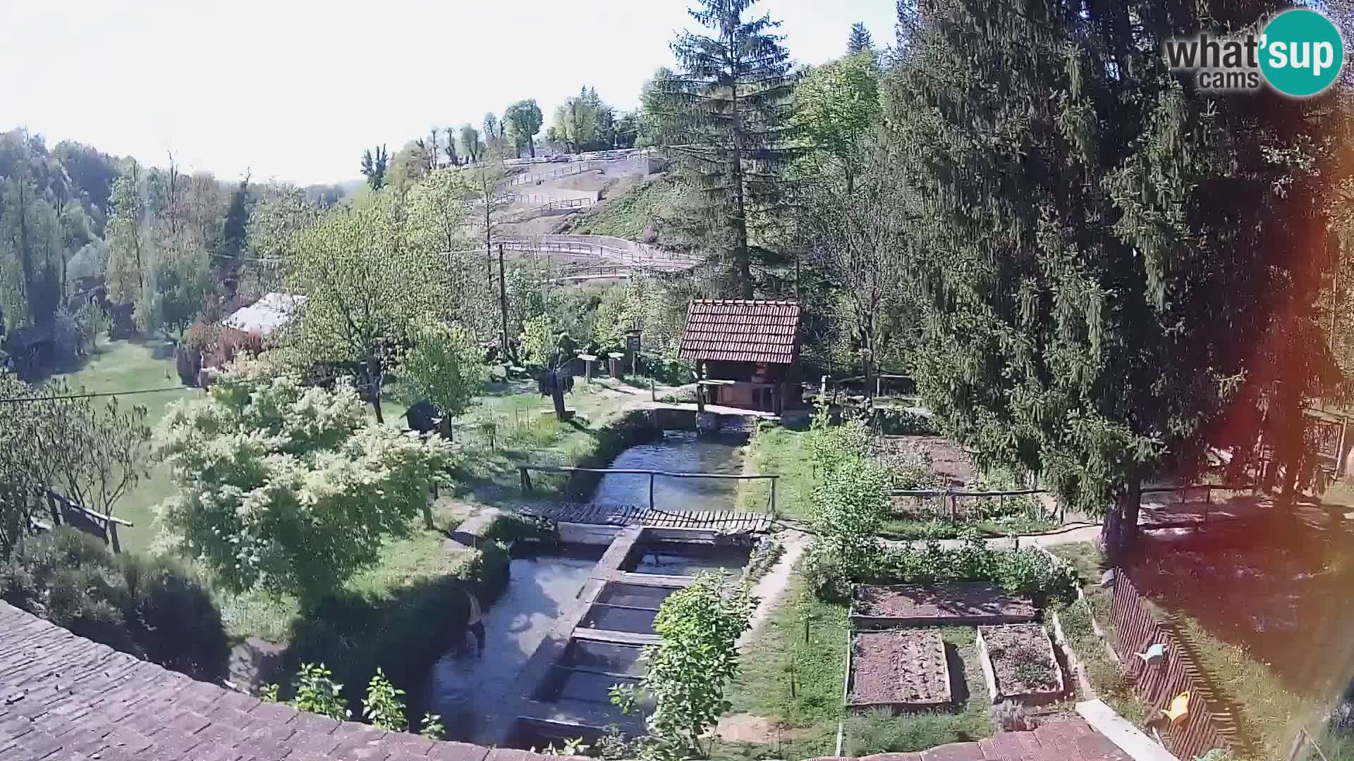 Web kamera uživo Rastoke – rijeka Slunjčica – Hrvatska
