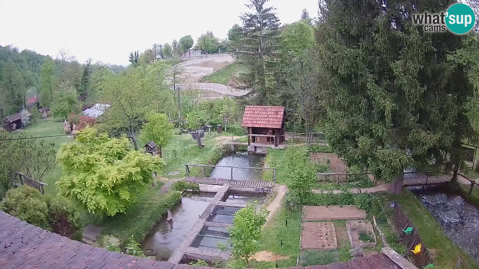 Live webcam Rastoke – river Slunjčica – Croatia