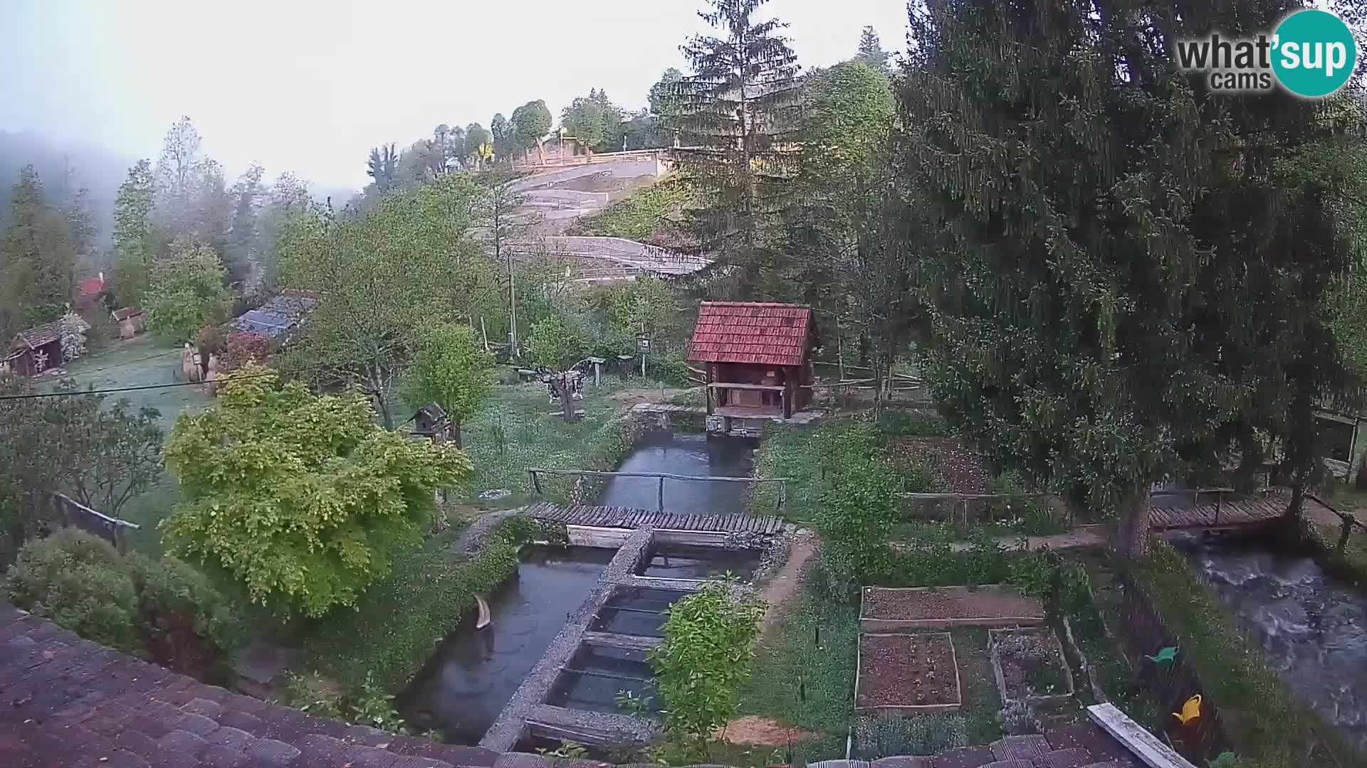 Cámara web en vivo Rastoke – río Slunjčica – Croacia