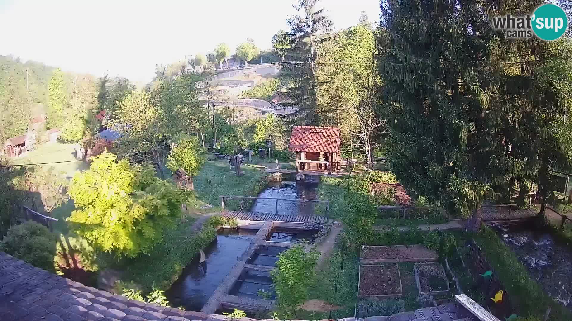 Live webcam Rastoke – river Slunjčica – Croatia