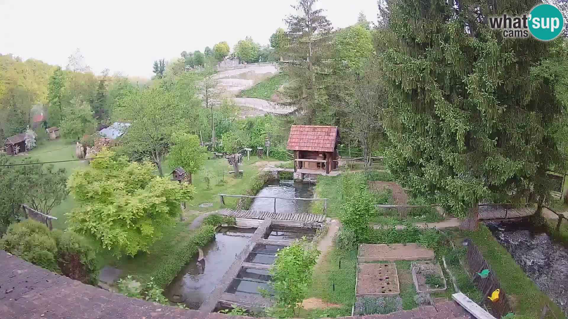 Live webcam Rastoke – river Slunjčica – Croatia