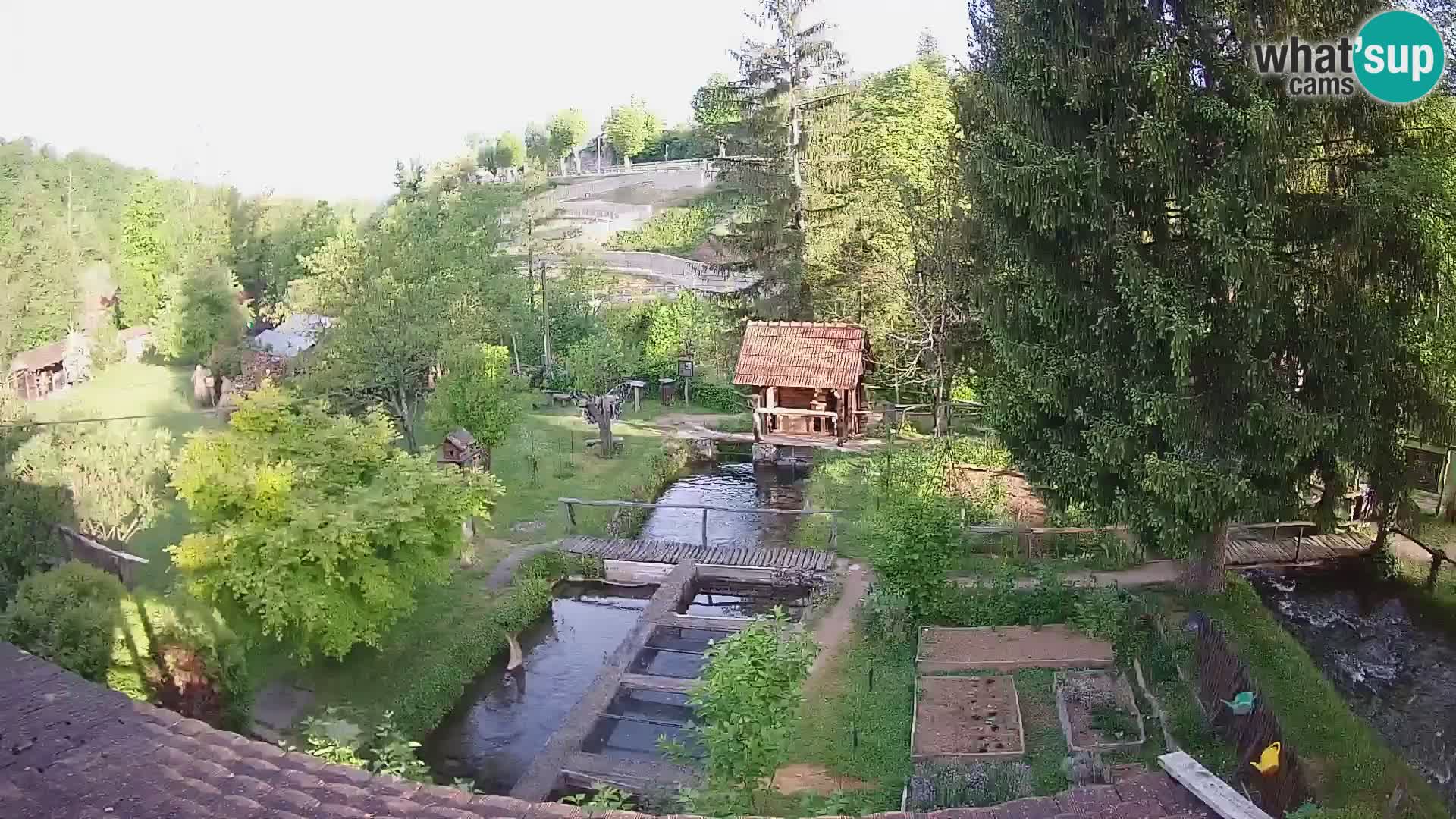 Live webcam Rastoke – river Slunjčica – Croatia
