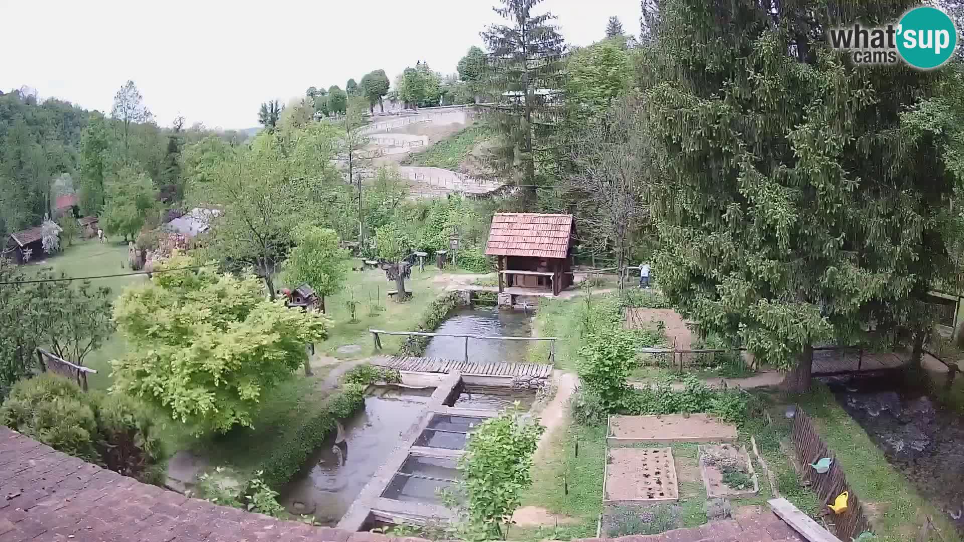 Cámara web en vivo Rastoke – río Slunjčica – Croacia
