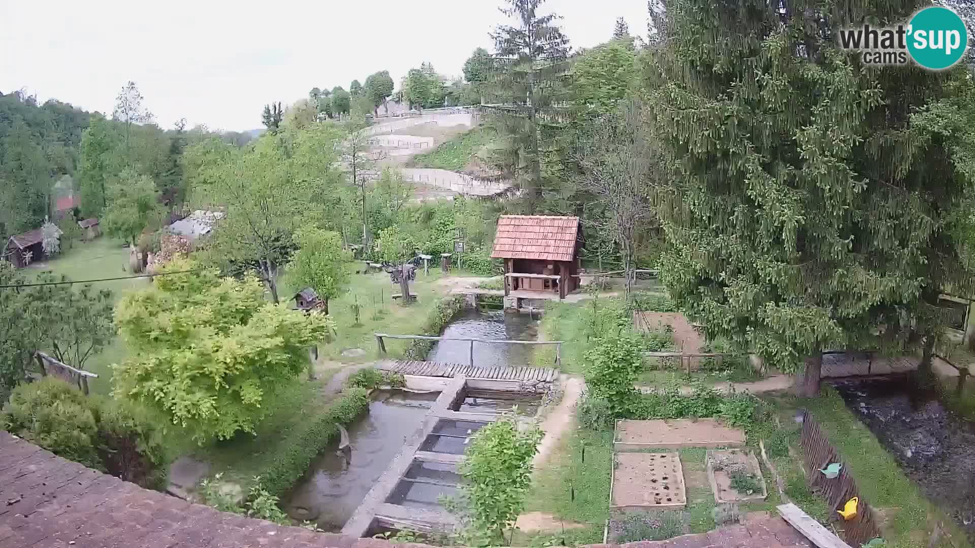 Web kamera uživo Rastoke – rijeka Slunjčica – Hrvatska