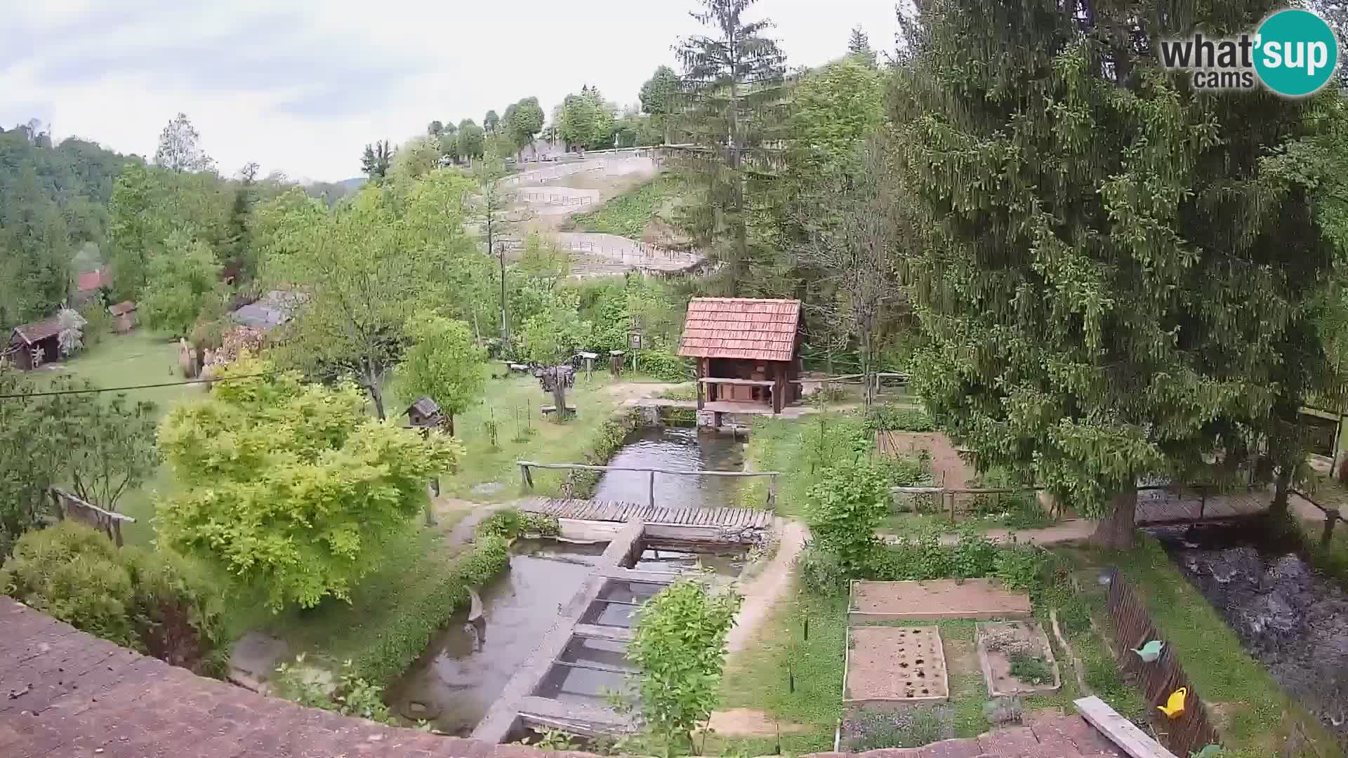 Cámara web en vivo Rastoke – río Slunjčica – Croacia