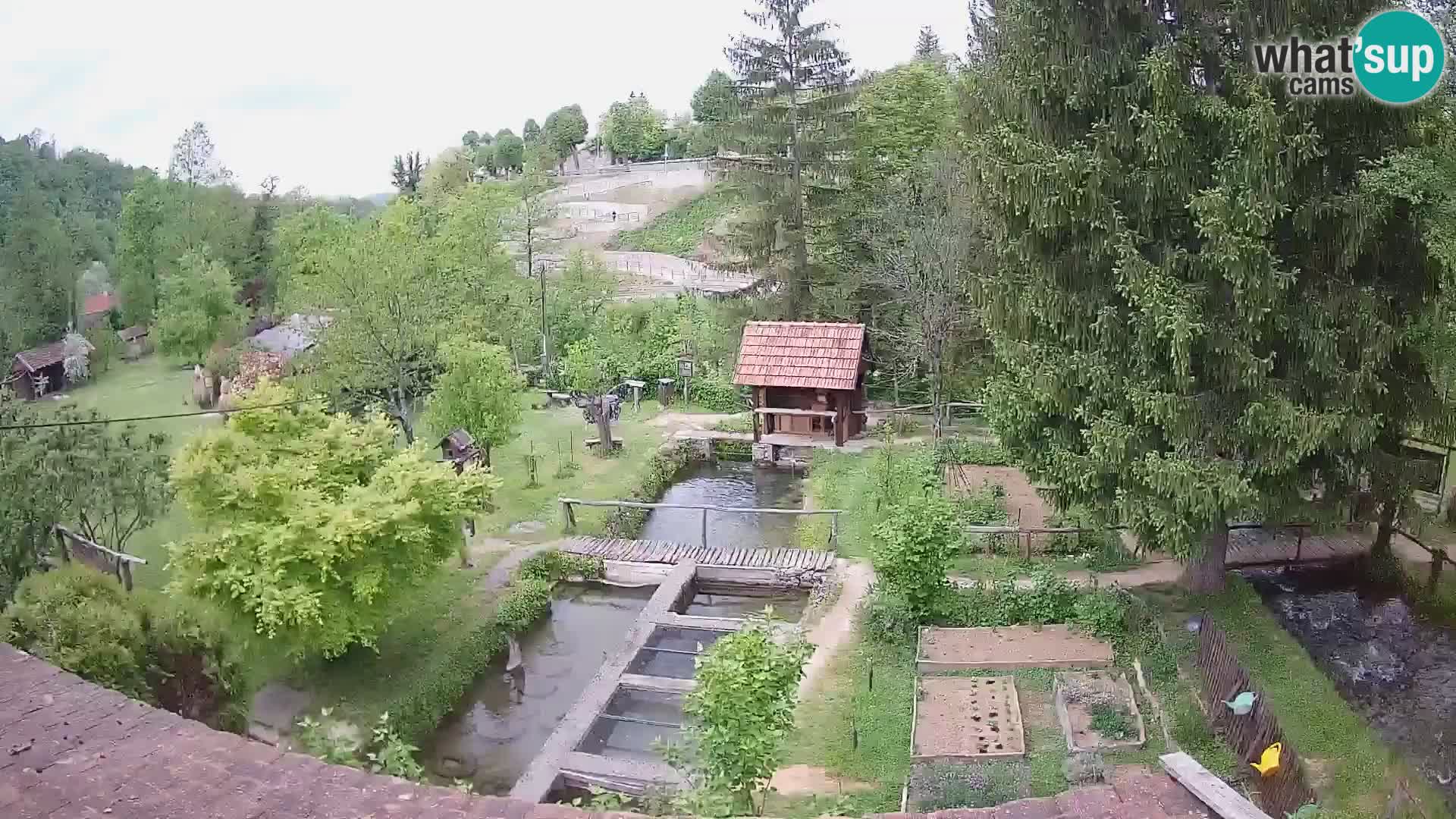 Web kamera uživo Rastoke – rijeka Slunjčica – Hrvatska