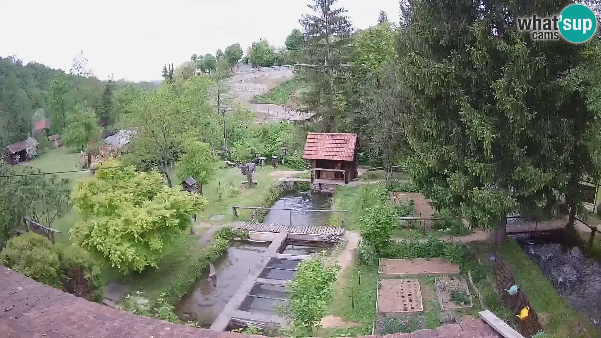 Live webcam Rastoke – river Slunjčica – Croatia