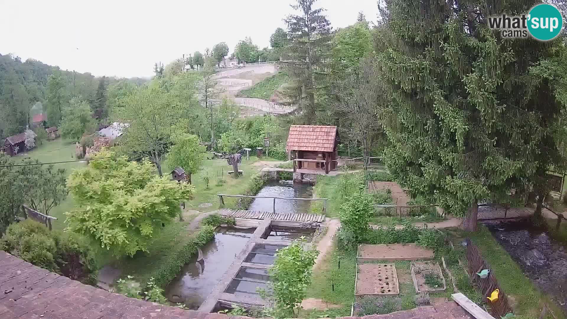 Live webcam Rastoke – river Slunjčica – Croatia
