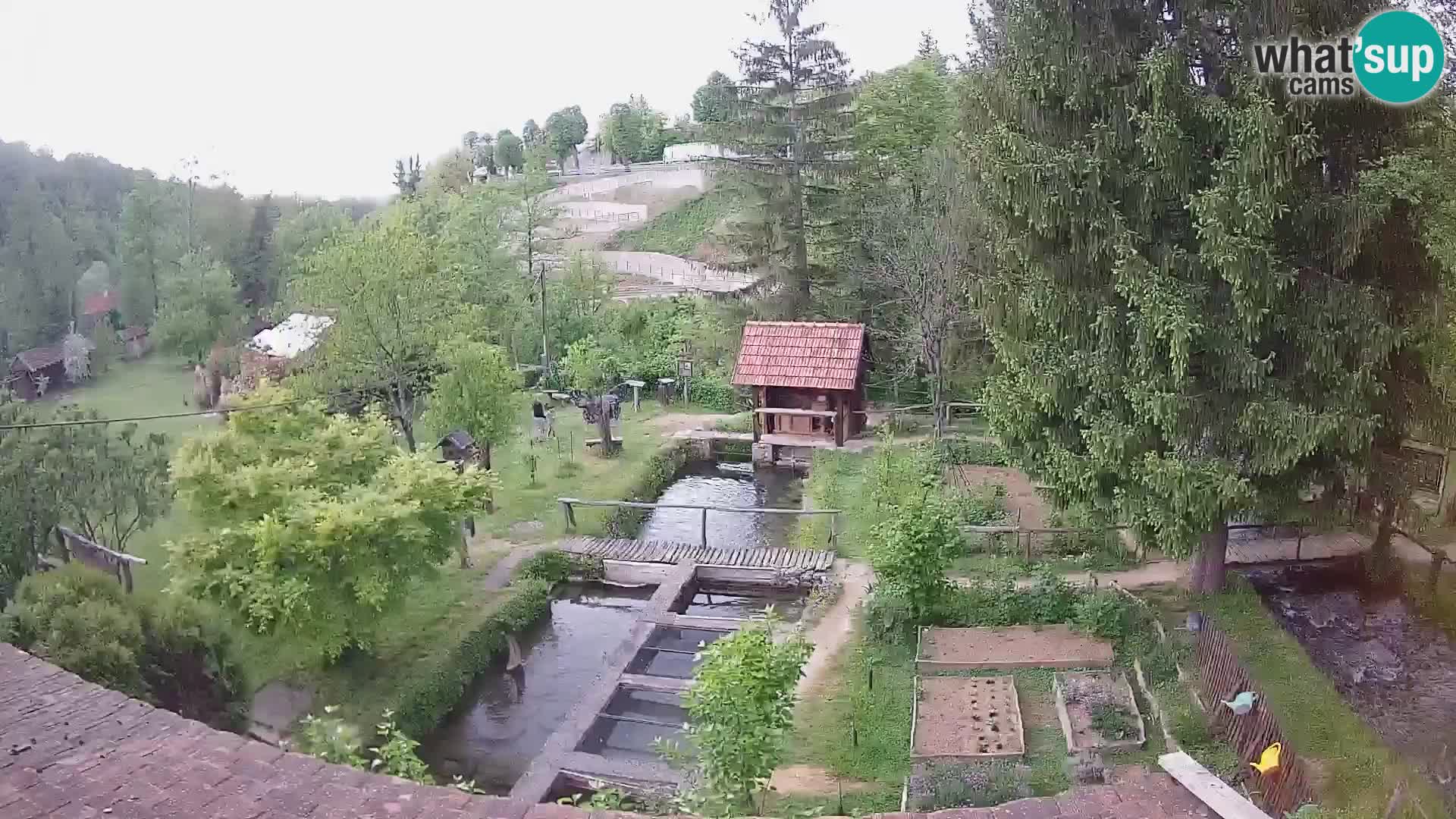 Live webcam Rastoke – river Slunjčica – Croatia