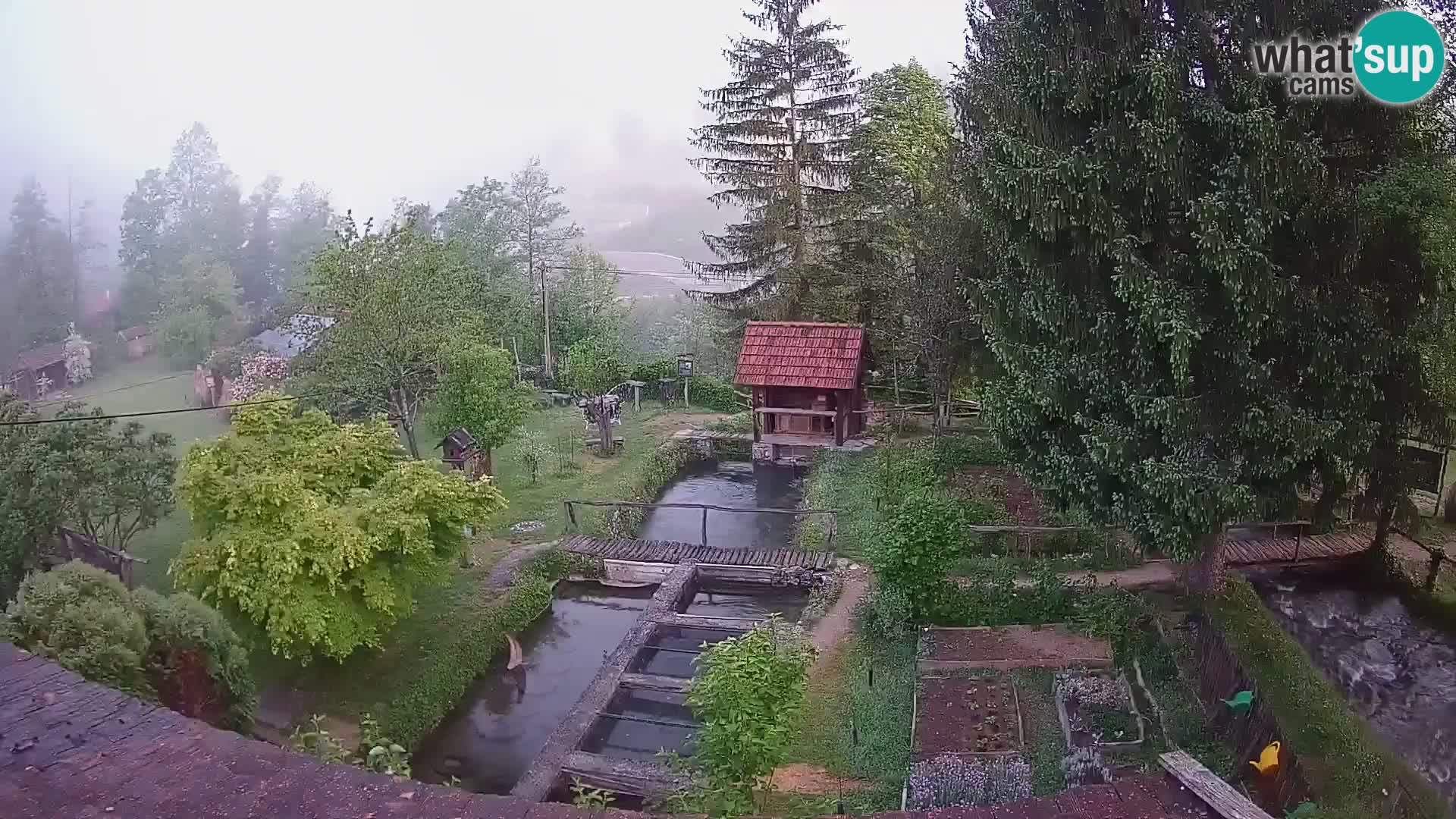 Live-Webcam Rastoke – Fluss Slunjčica – Kroatien