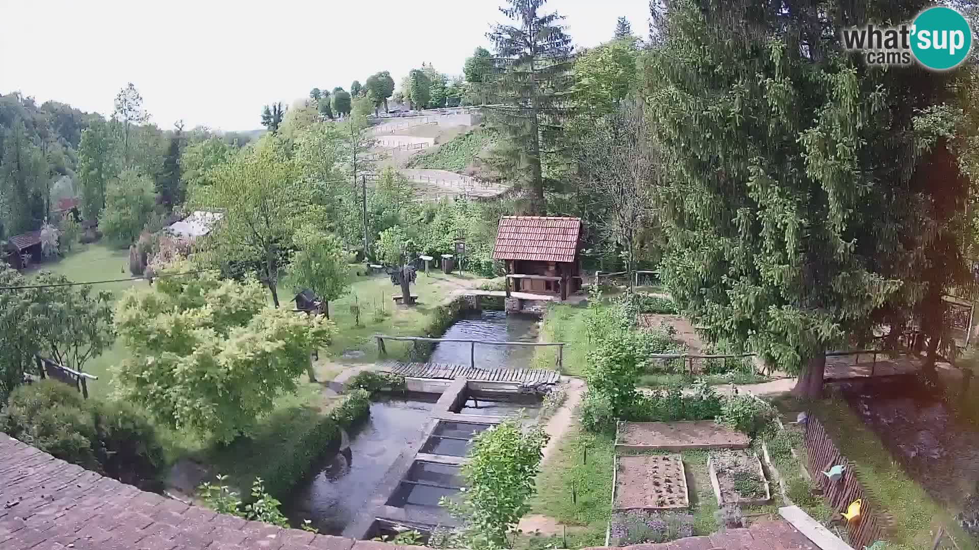 Cámara web en vivo Rastoke – río Slunjčica – Croacia