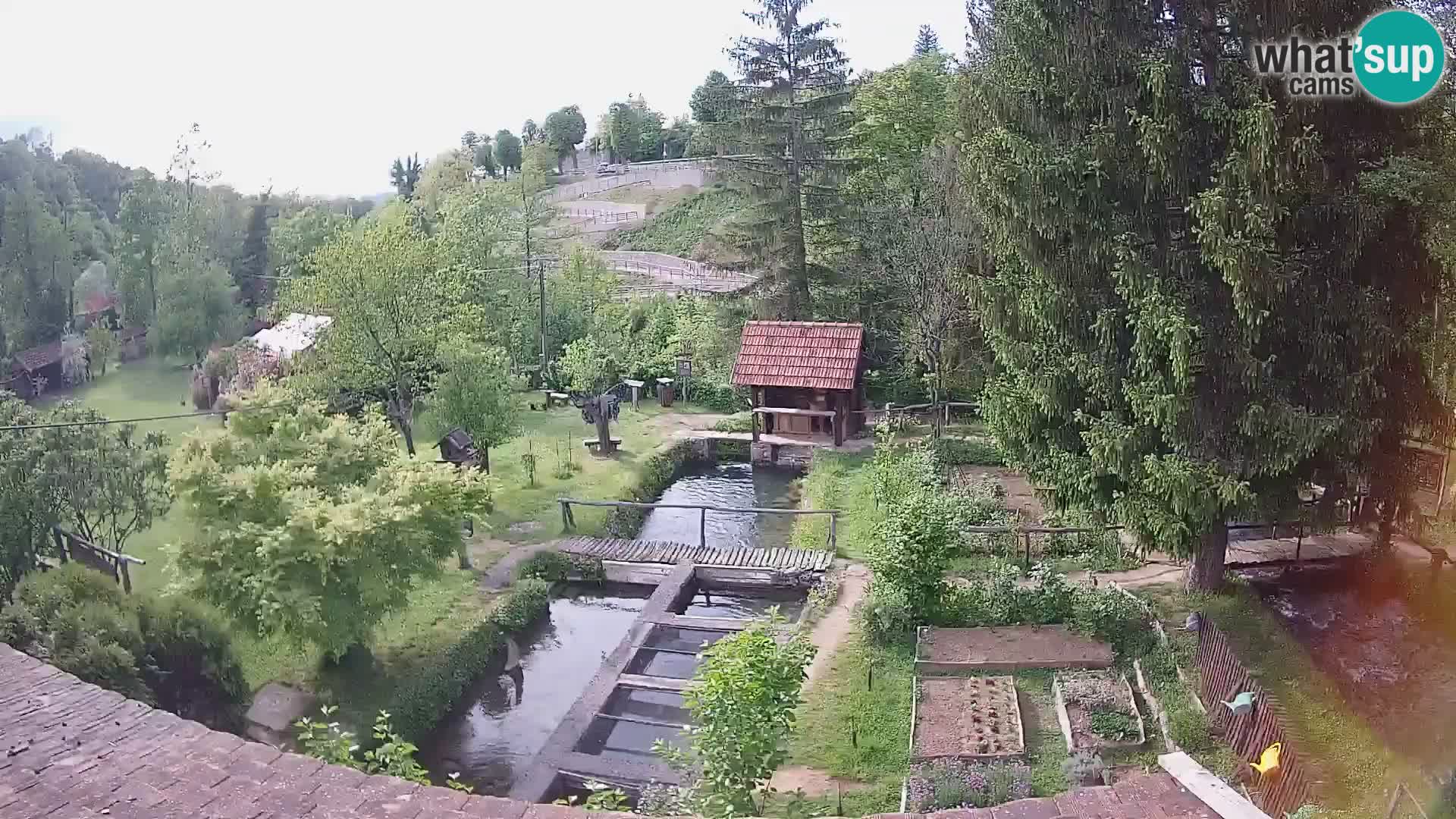 Cámara web en vivo Rastoke – río Slunjčica – Croacia