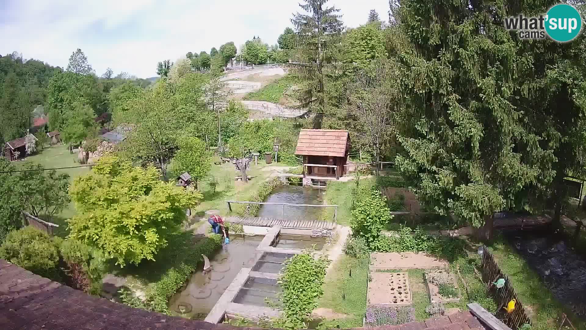 Spletna kamera v živo Rastoke – reka Slunjčica – Hrvaška