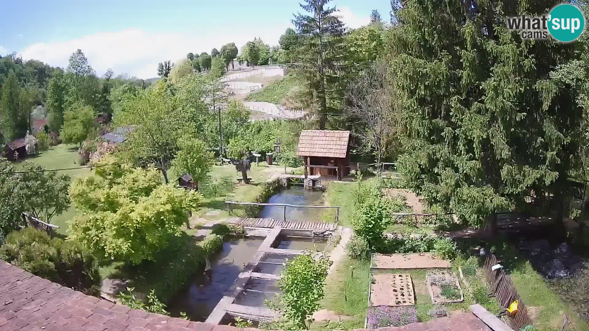 Cámara web en vivo Rastoke – río Slunjčica – Croacia