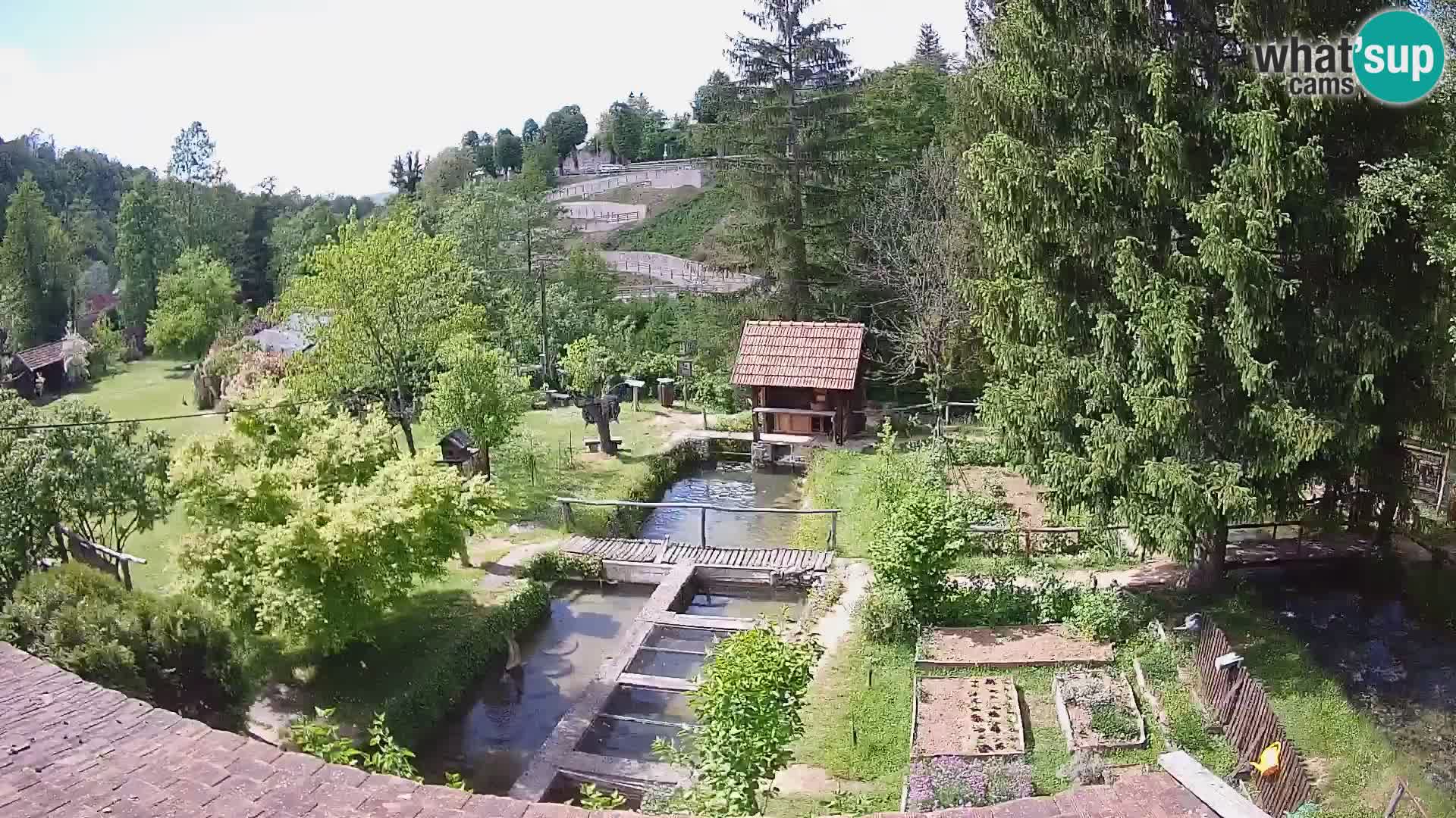 Cámara web en vivo Rastoke – río Slunjčica – Croacia