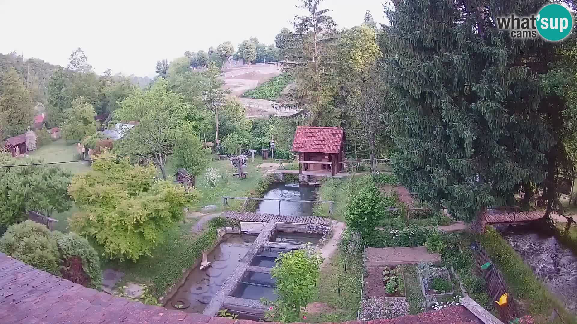 Spletna kamera v živo Rastoke – reka Slunjčica – Hrvaška