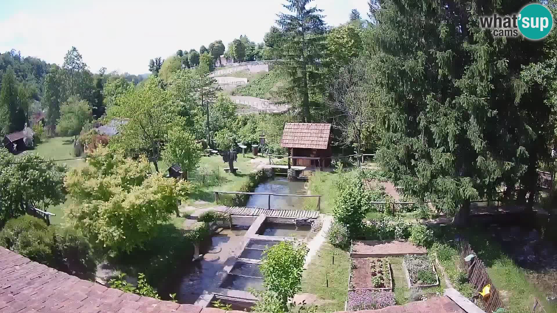 Web kamera uživo Rastoke – rijeka Slunjčica – Hrvatska