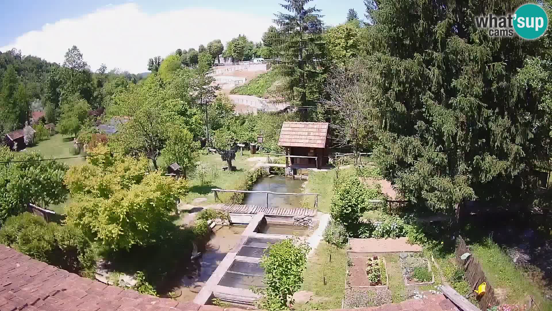 Spletna kamera v živo Rastoke – reka Slunjčica – Hrvaška