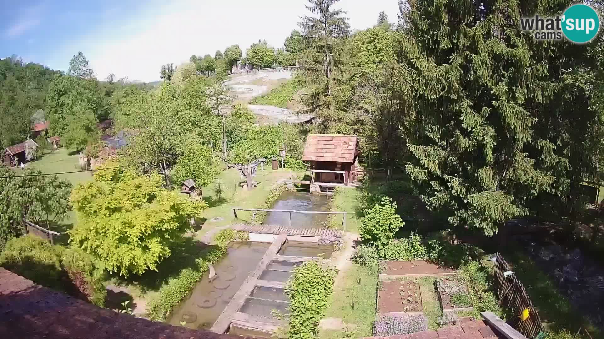 Live-Webcam Rastoke – Fluss Slunjčica – Kroatien